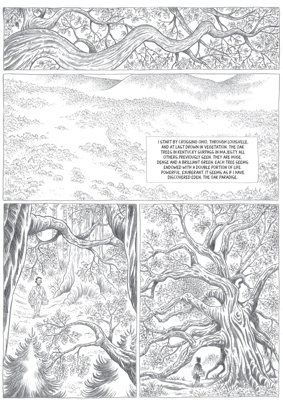 John Muir: To the Heart of Solitude