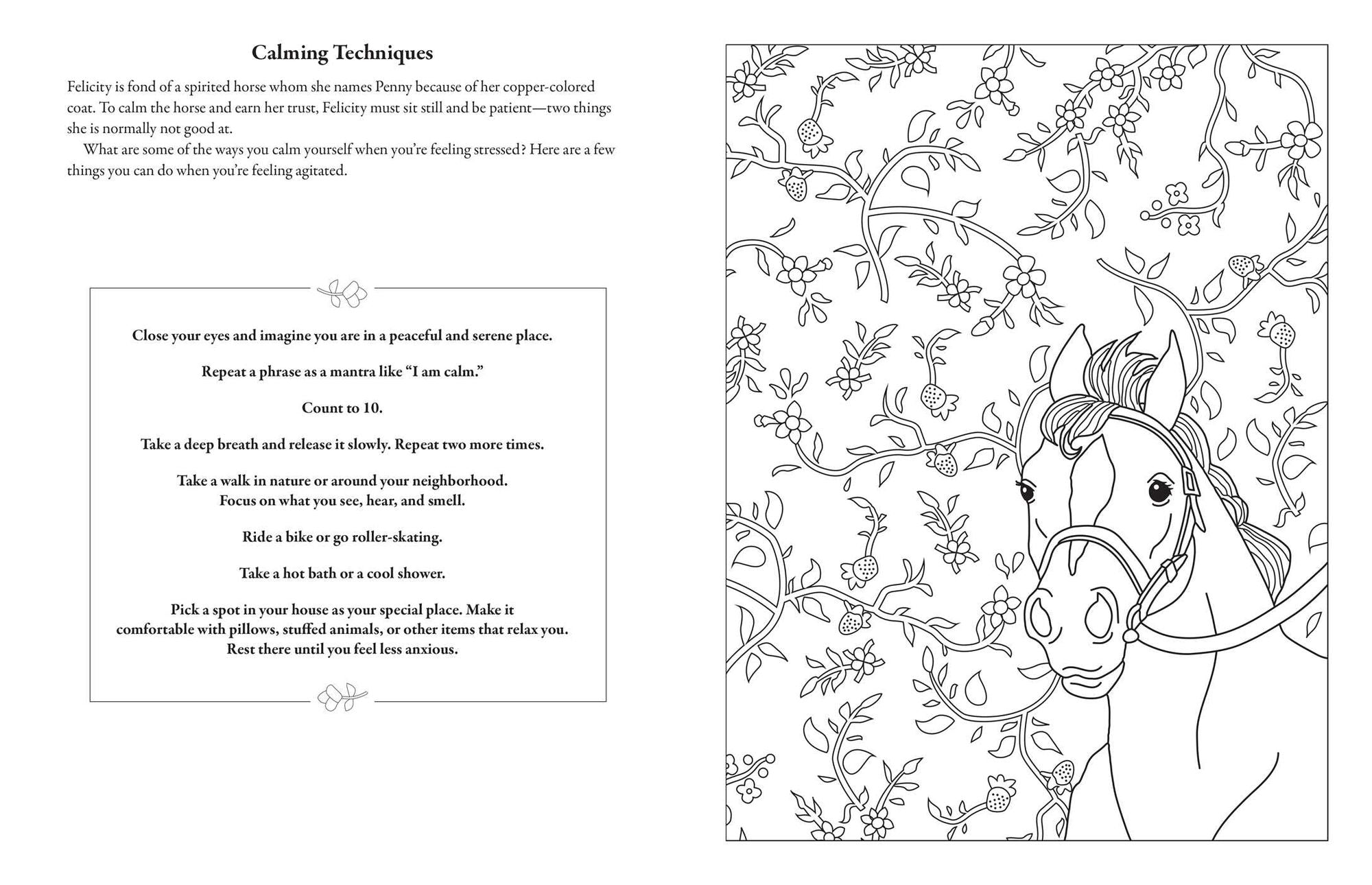 American Girl Coloring Journal: Playful Patterns & Mindful Activities Inspired by Your Favorite American Girl Characters
