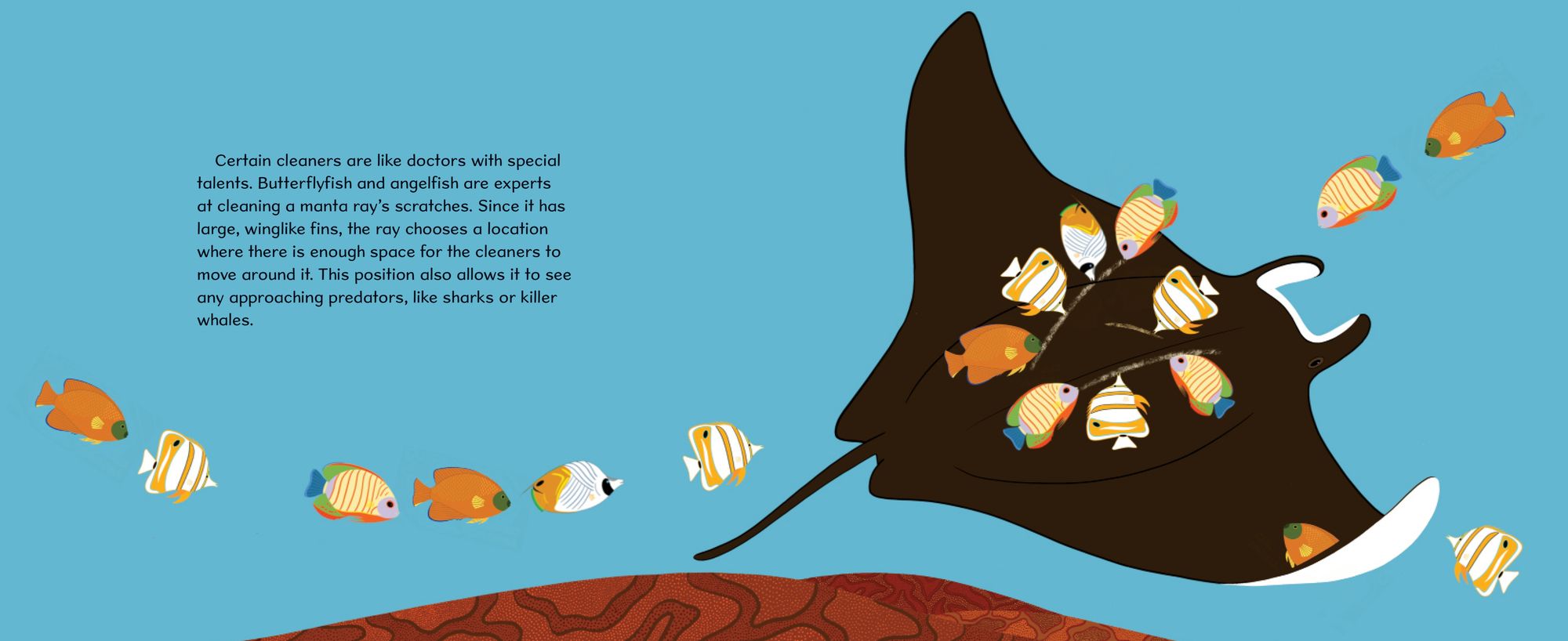 Don't Eat the Cleaners!: Tiny Fish with a Big Job