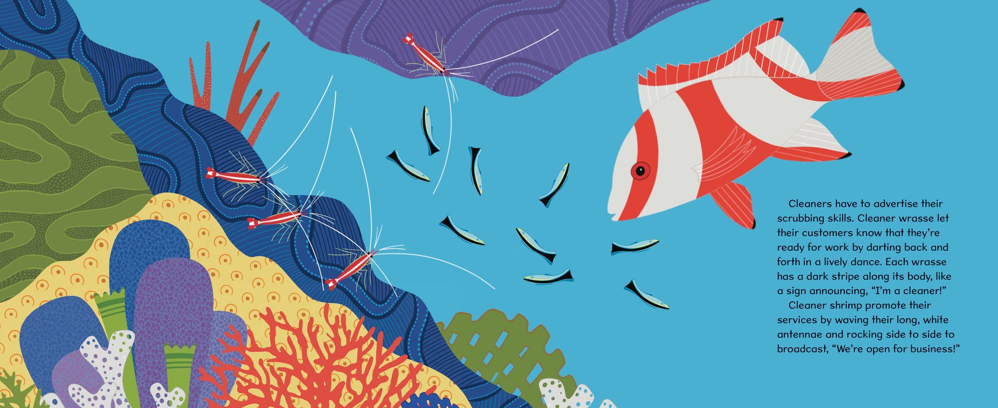 Don't Eat the Cleaners!: Tiny Fish with a Big Job