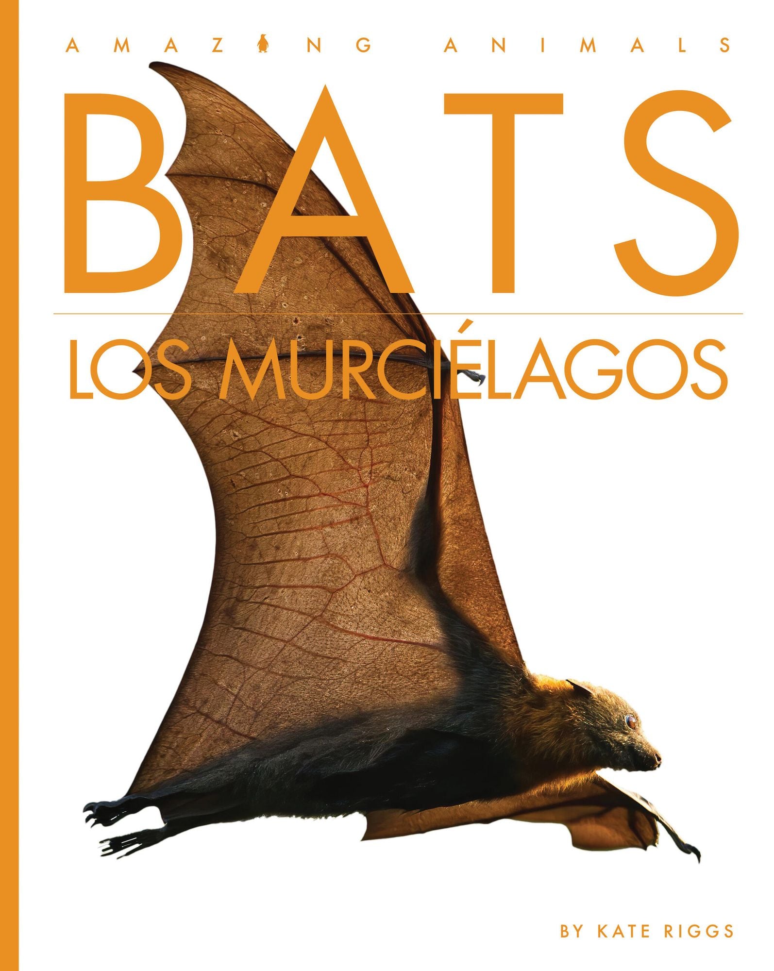 Bats / Los murcielagos