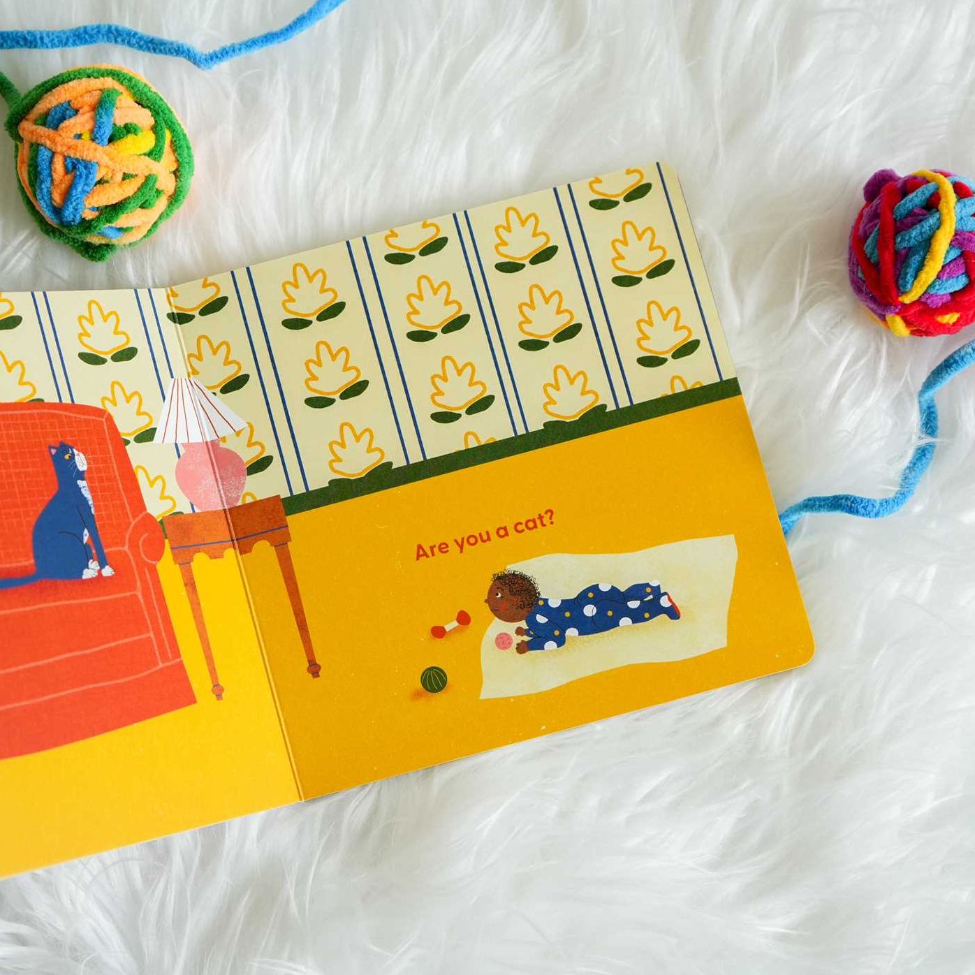 Cat's First Baby: A Board Book