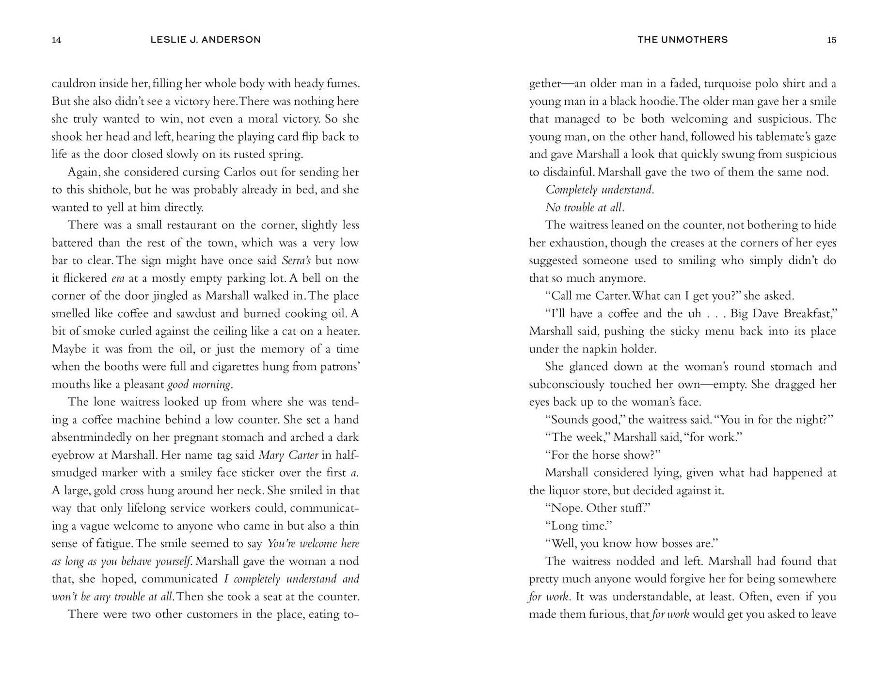 The Unmothers: A Novel