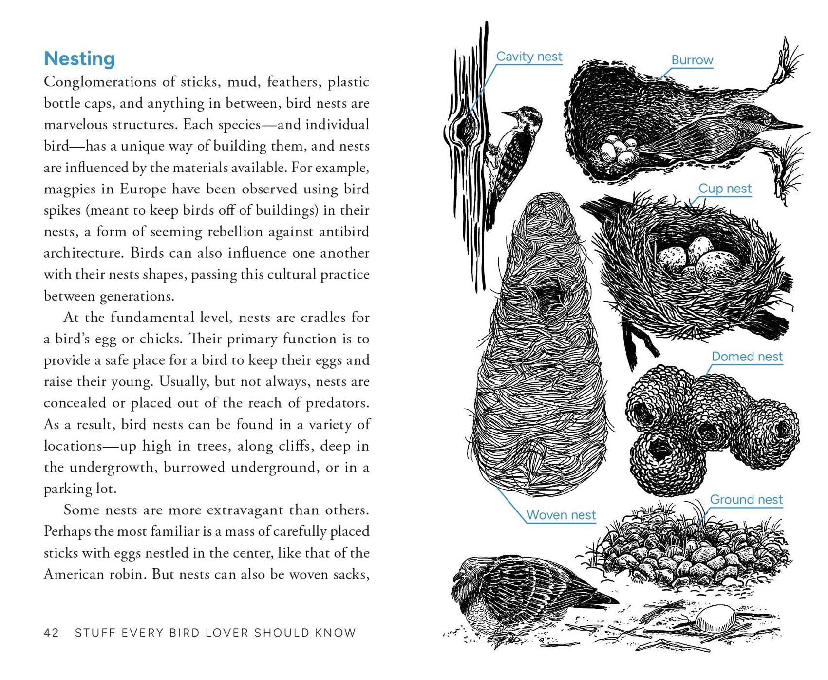 Stuff Every Bird Lover Should Know