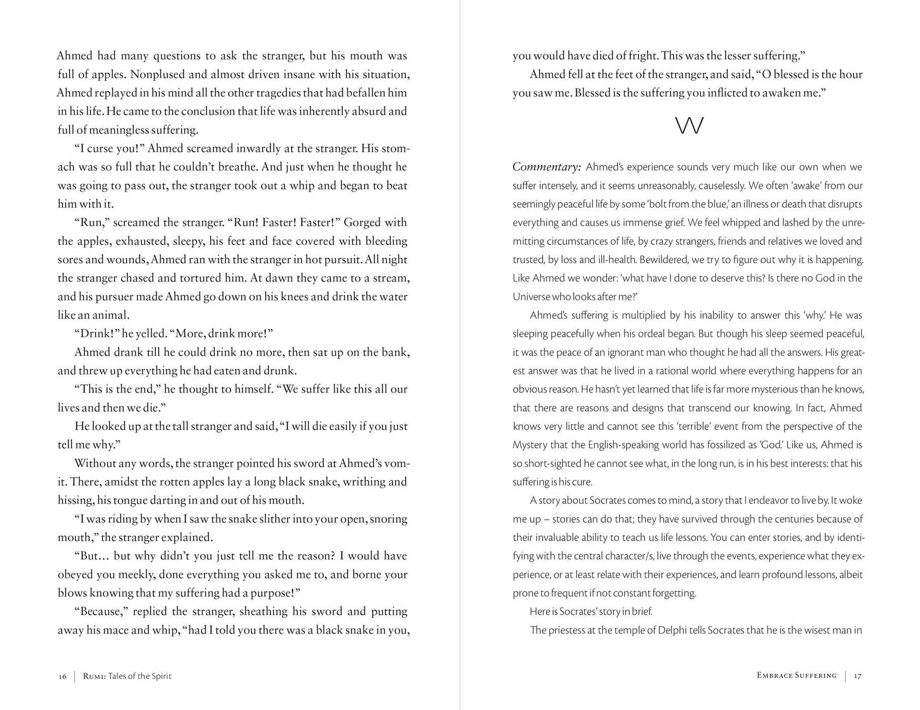 Rumi: Tales of the Spirit: A Journey to Healing the Heart