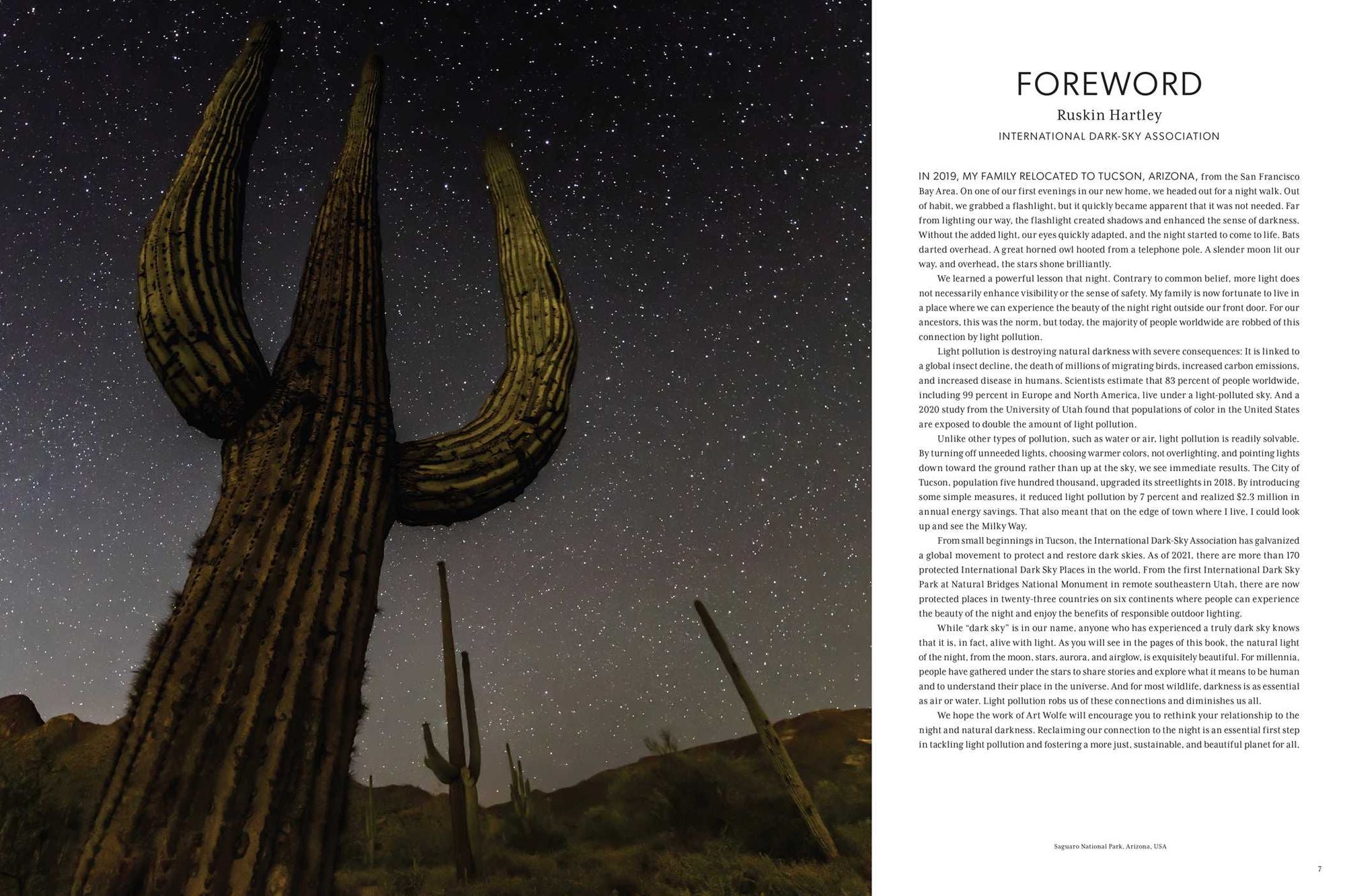 Night on Earth: Photographs by Art Wolfe
