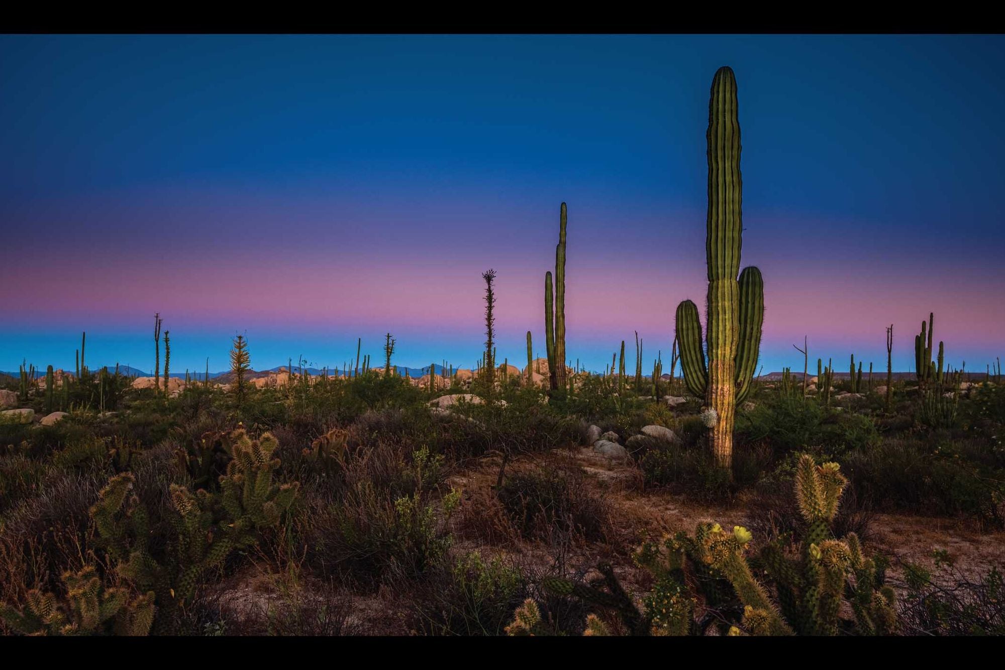 Night on Earth: Photographs by Art Wolfe