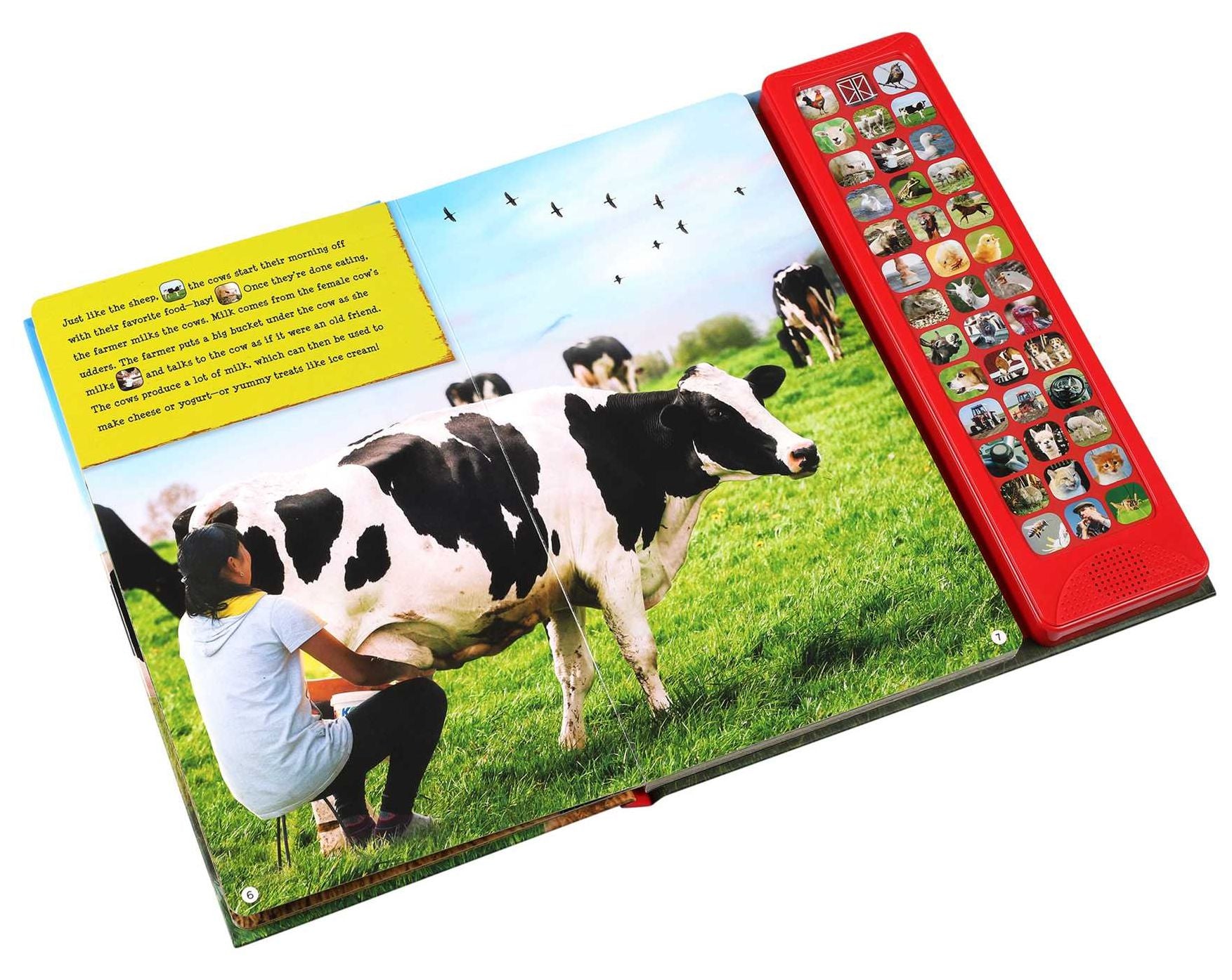 Discovery: Moo, Quack, Baa!