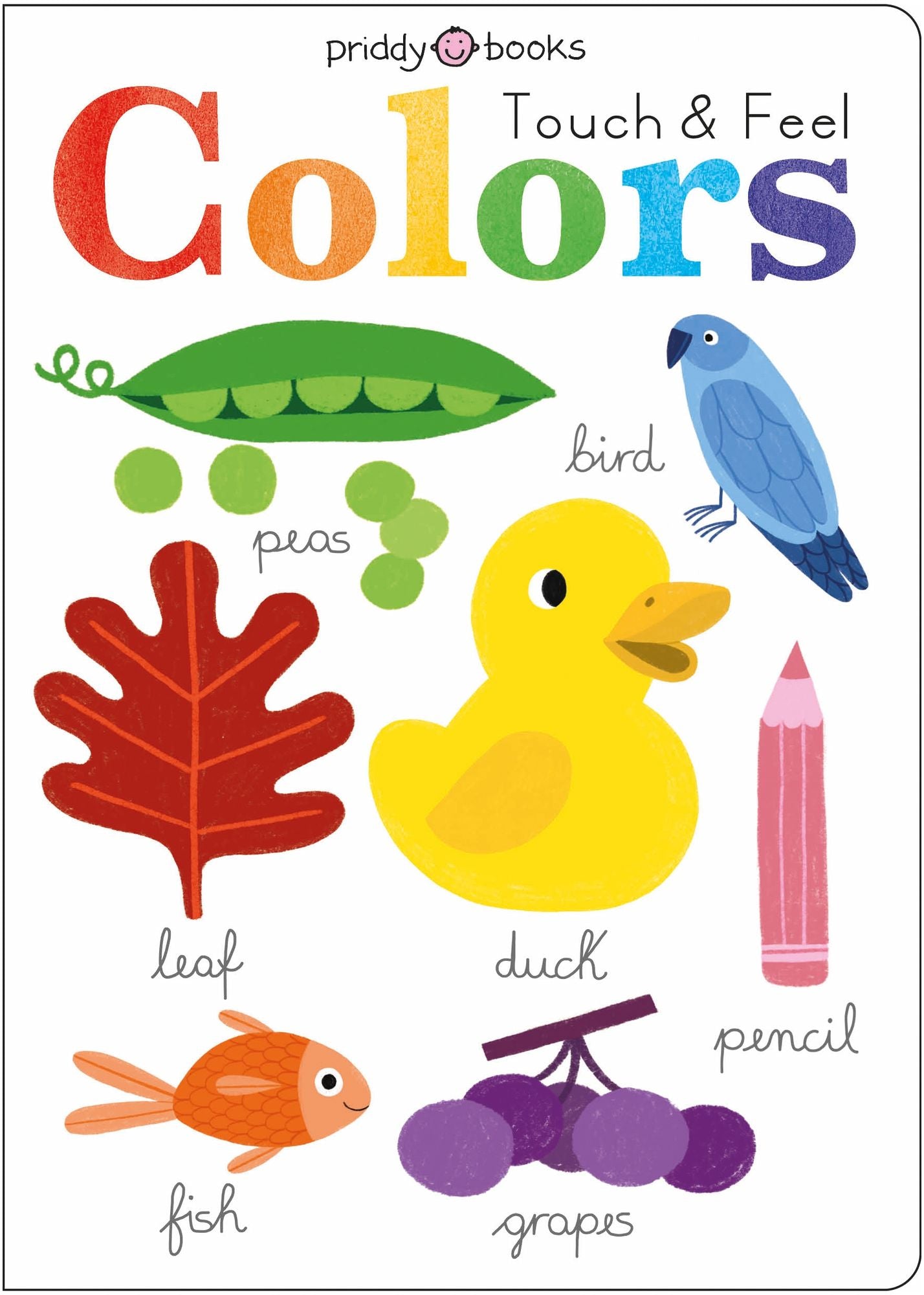 Learn & Explore: Colors