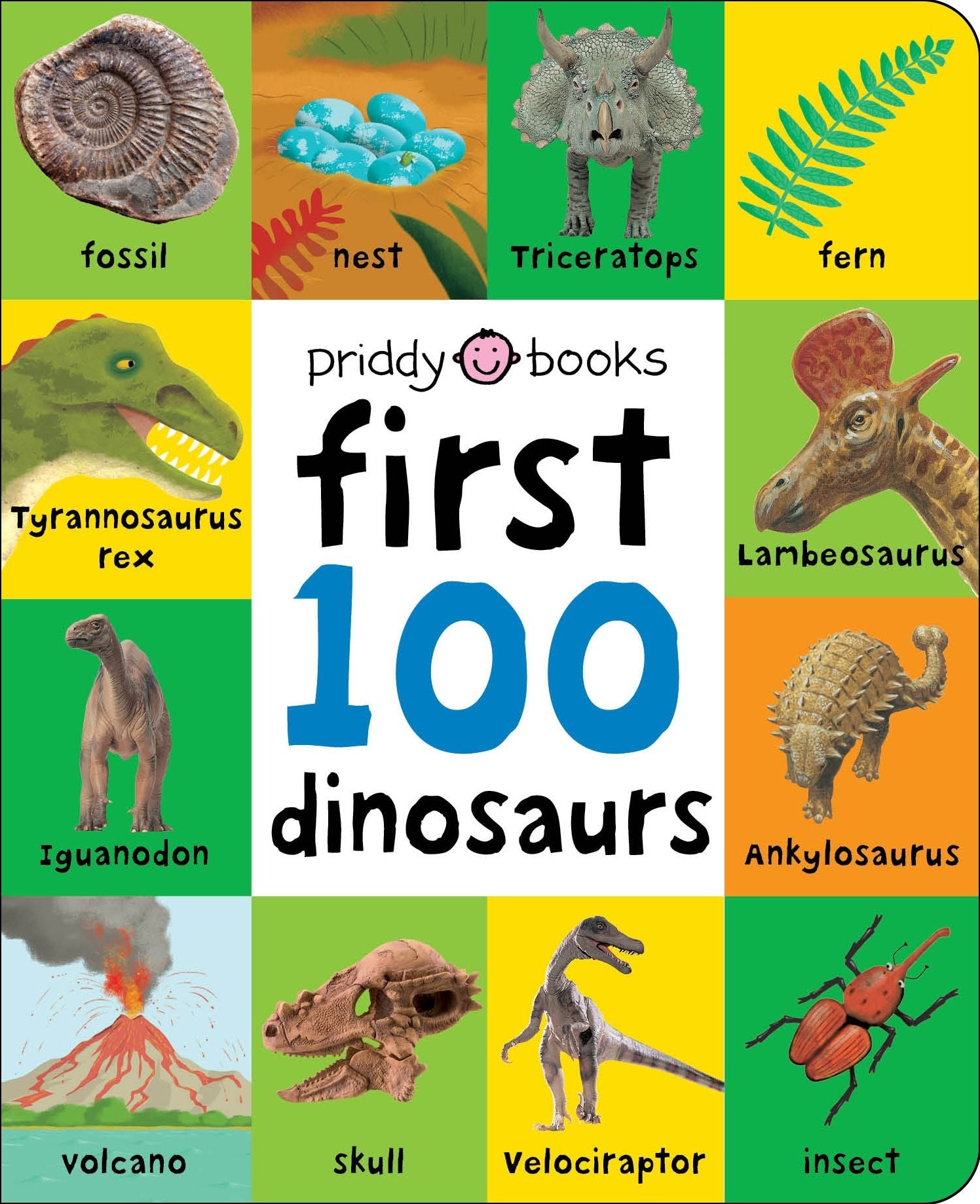 First 100 Padded: First 100 Dinosaurs: An early introduction to our pre-historic world!