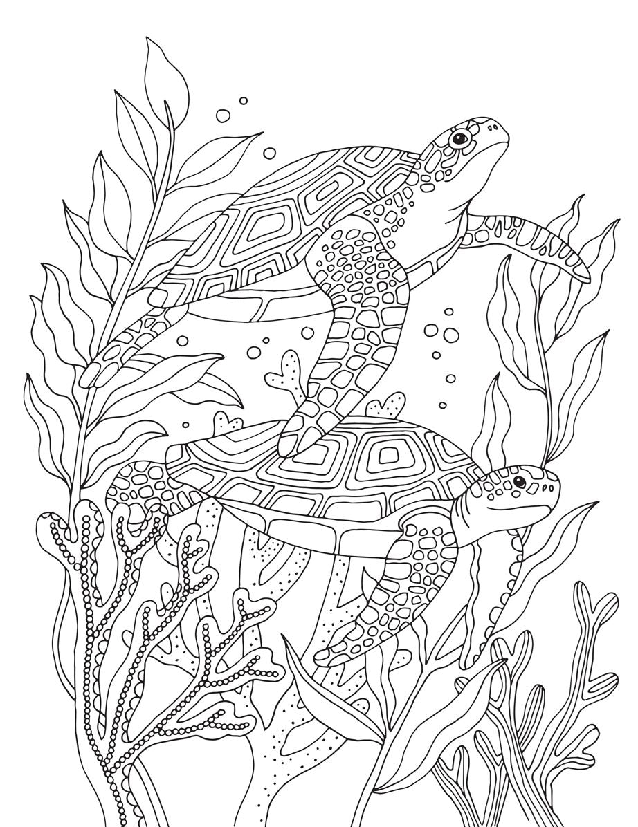 Nature's Sweet Moments: 50+ Super Cute Designs to Color - A Relaxing Coloring Book of Animals and Flowers for Adults and Kids