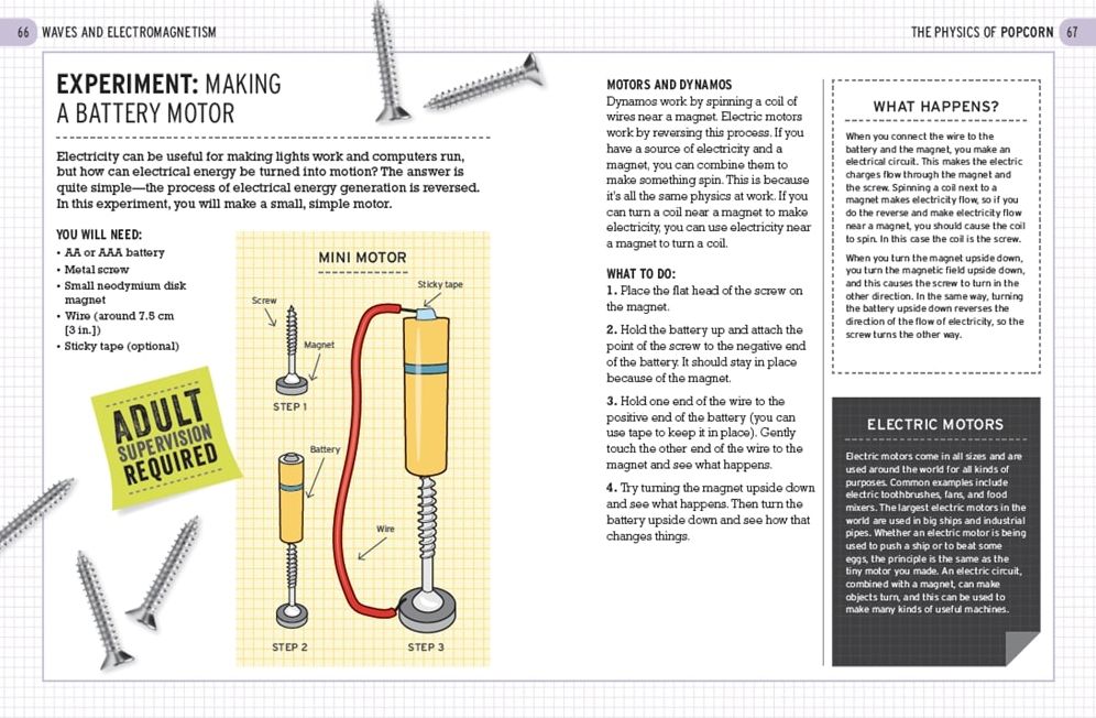 The Physics of Popcorn