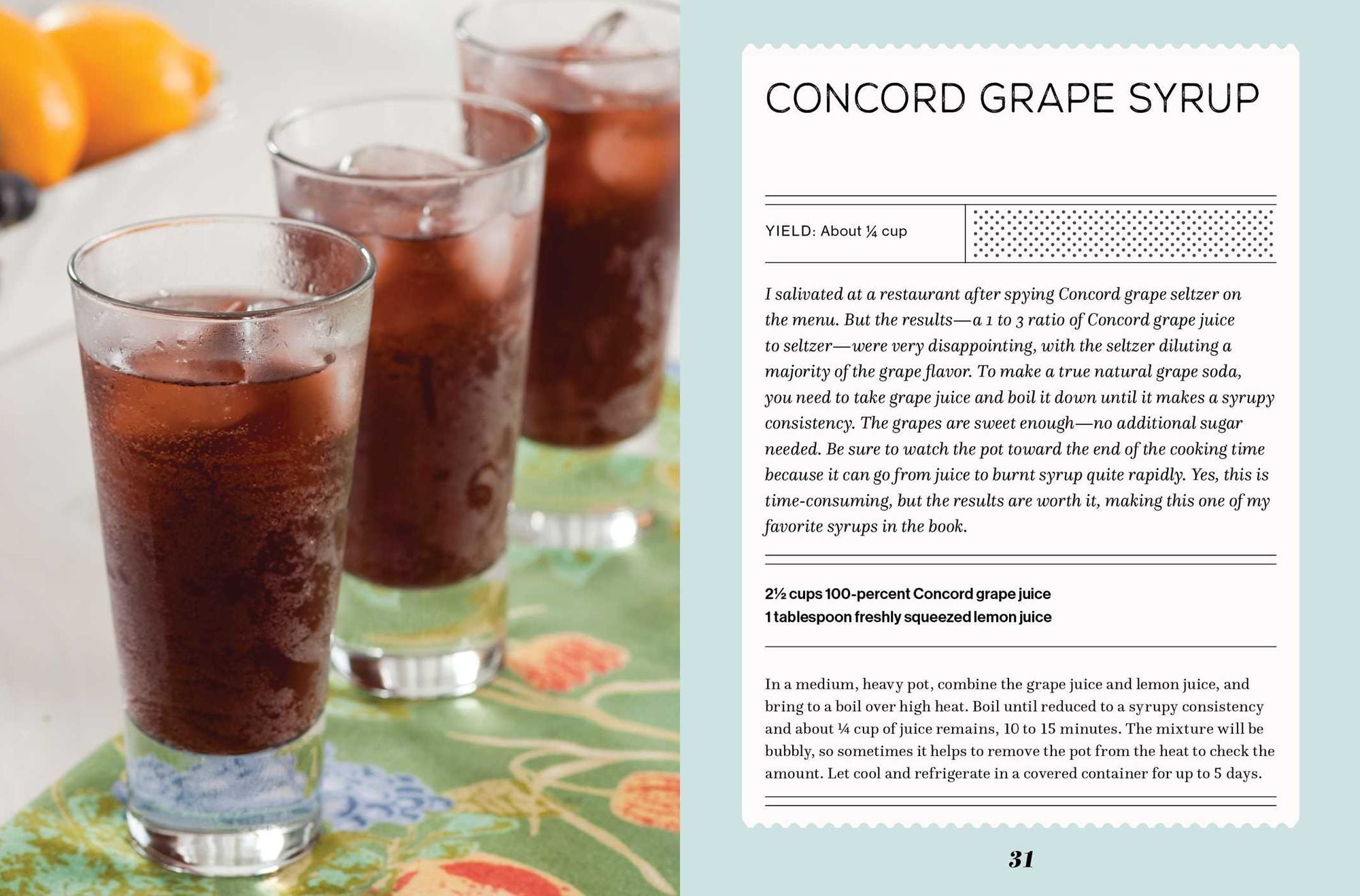 Fizz: 70+ Homemade Artisan Sodas