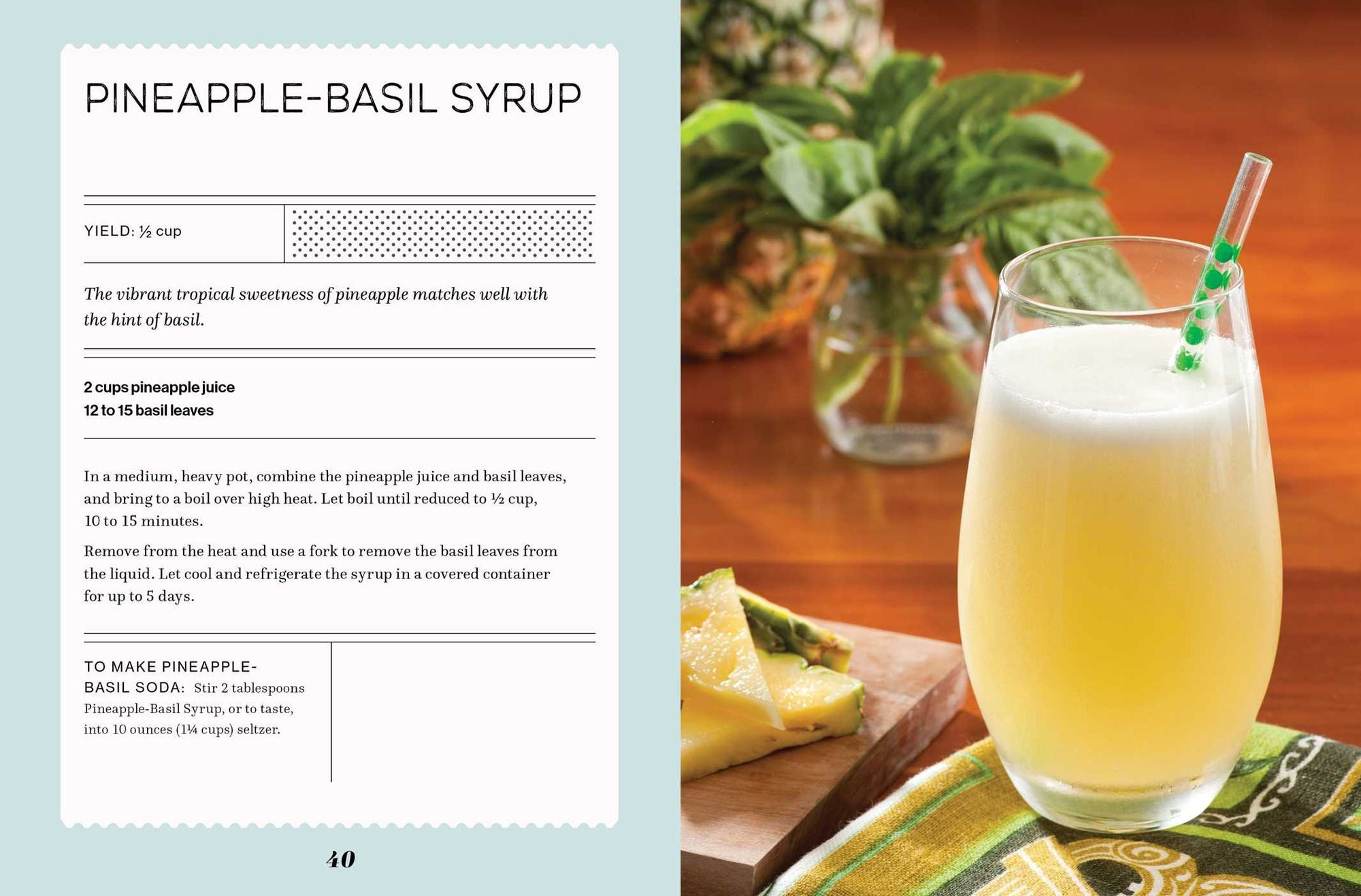 Fizz: 70+ Homemade Artisan Sodas