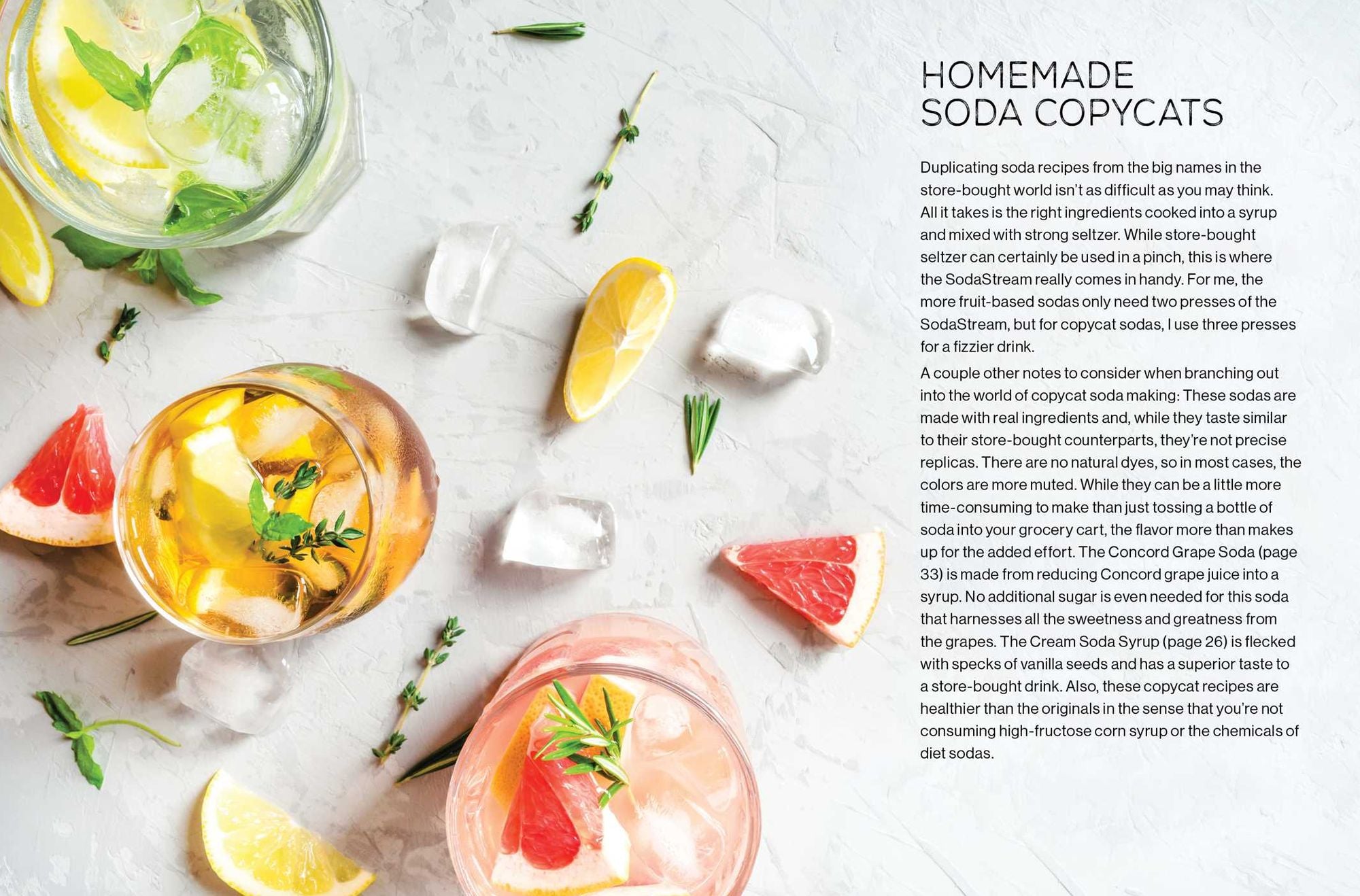 Fizz: 70+ Homemade Artisan Sodas