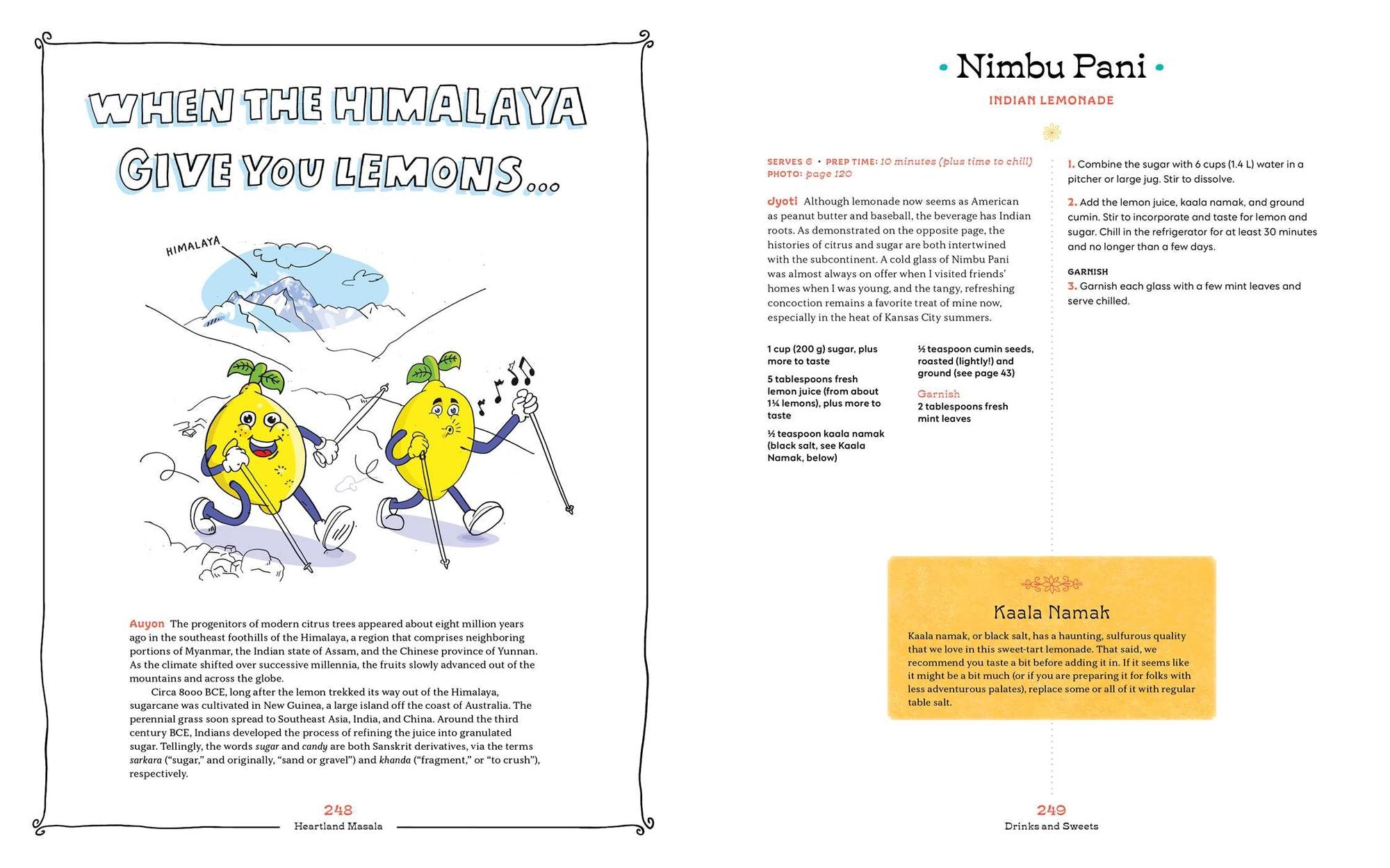 Heartland Masala: An Indian Cookbook from an American Kitchen