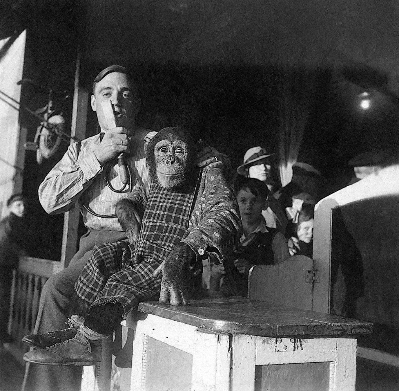 Dead Funny: Telling Jokes in Hitler's Germany