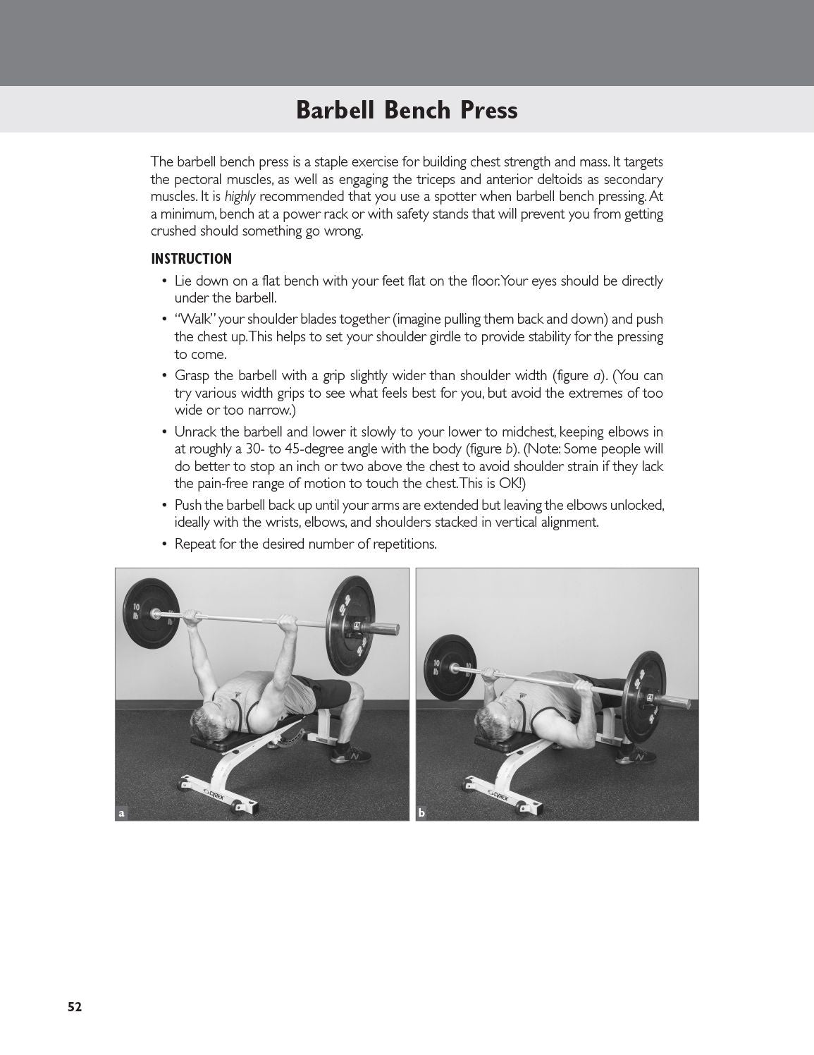 Building Strength and Muscle After 50
