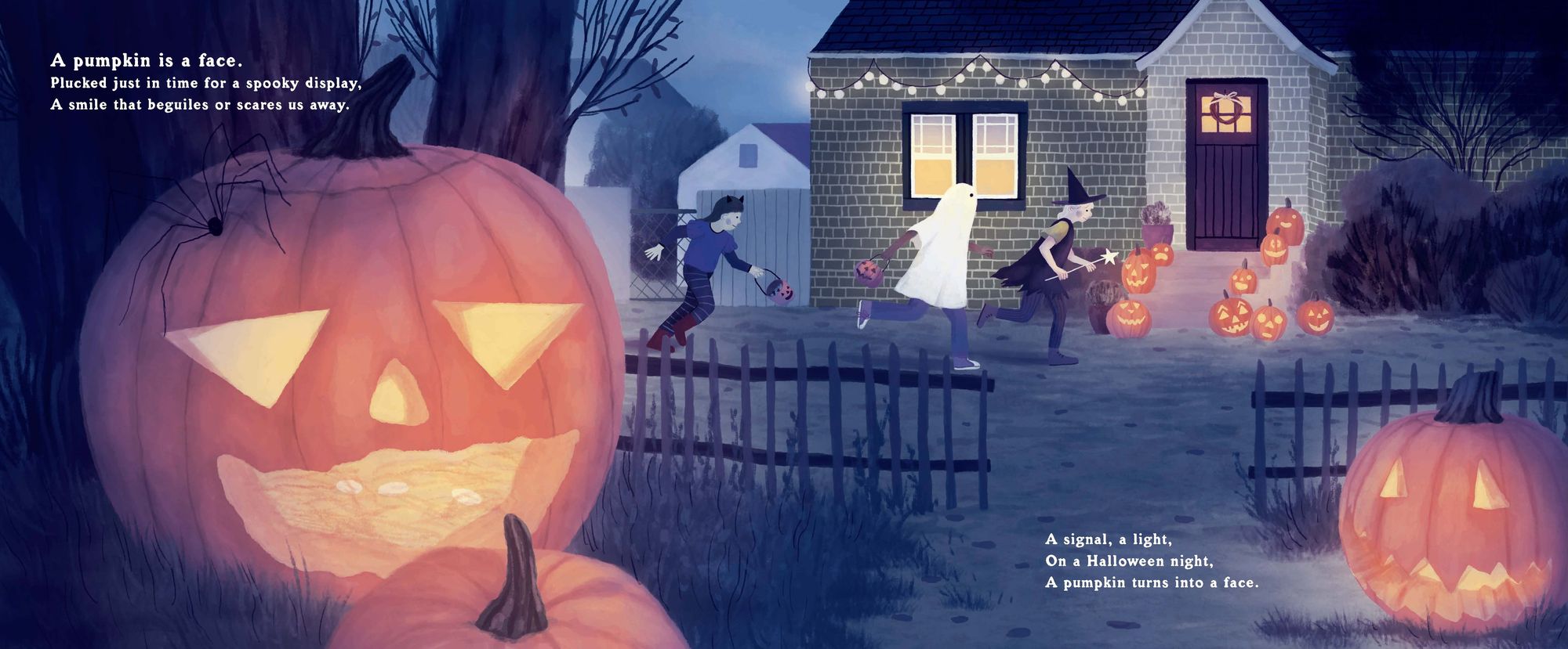 The Pumpkin Seed's Secret: A Life Cycle Poem