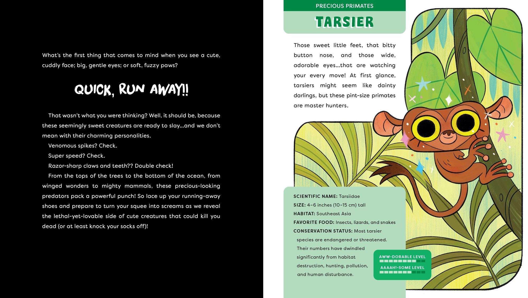 Cute Animals That Could Kill You Dead