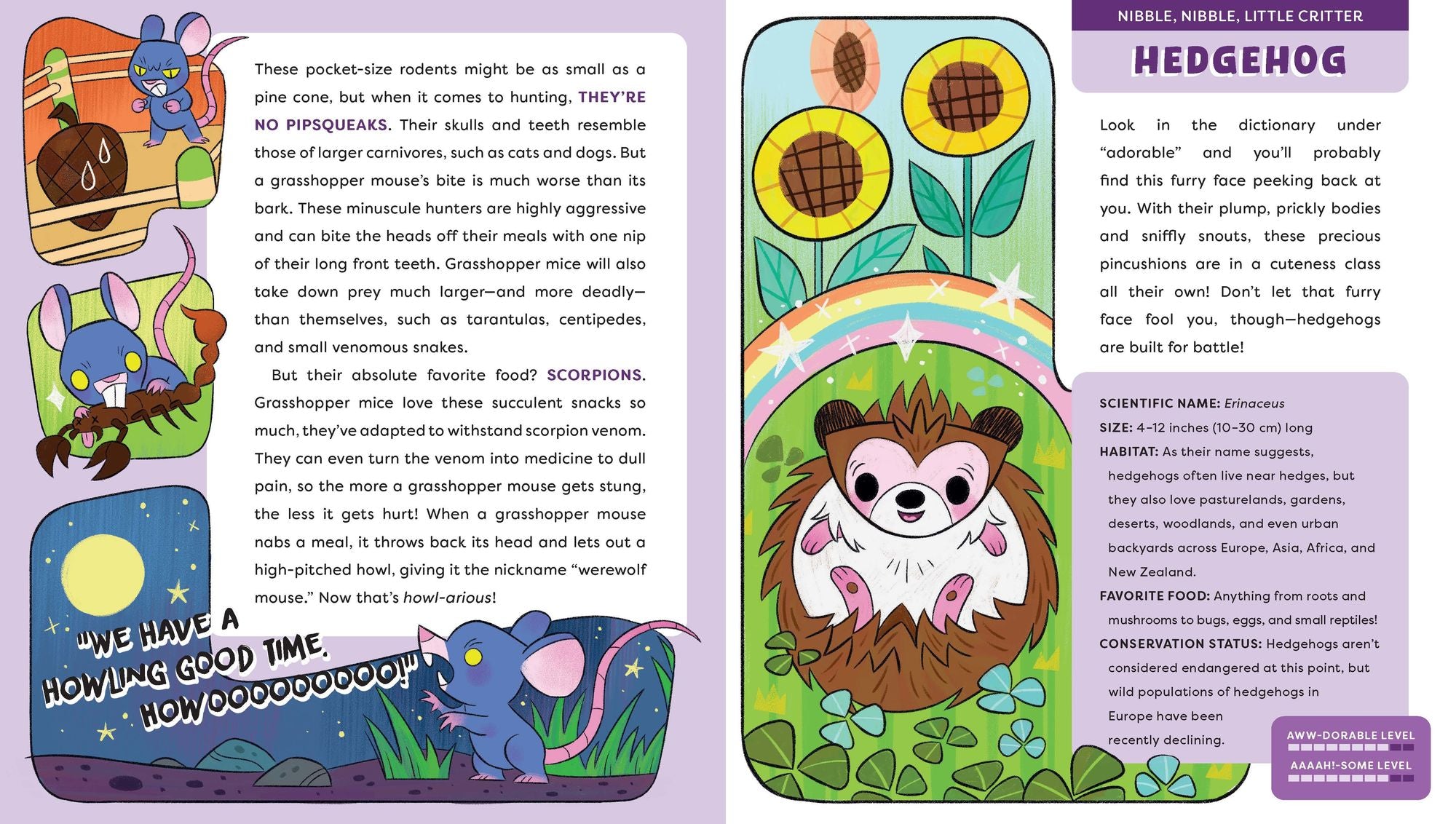 Cute Animals That Could Kill You Dead