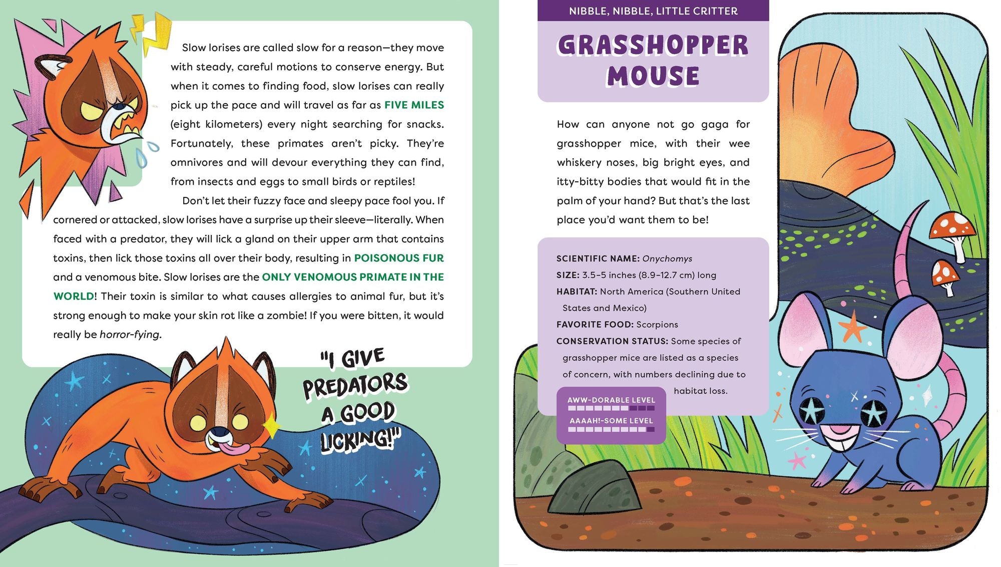 Cute Animals That Could Kill You Dead