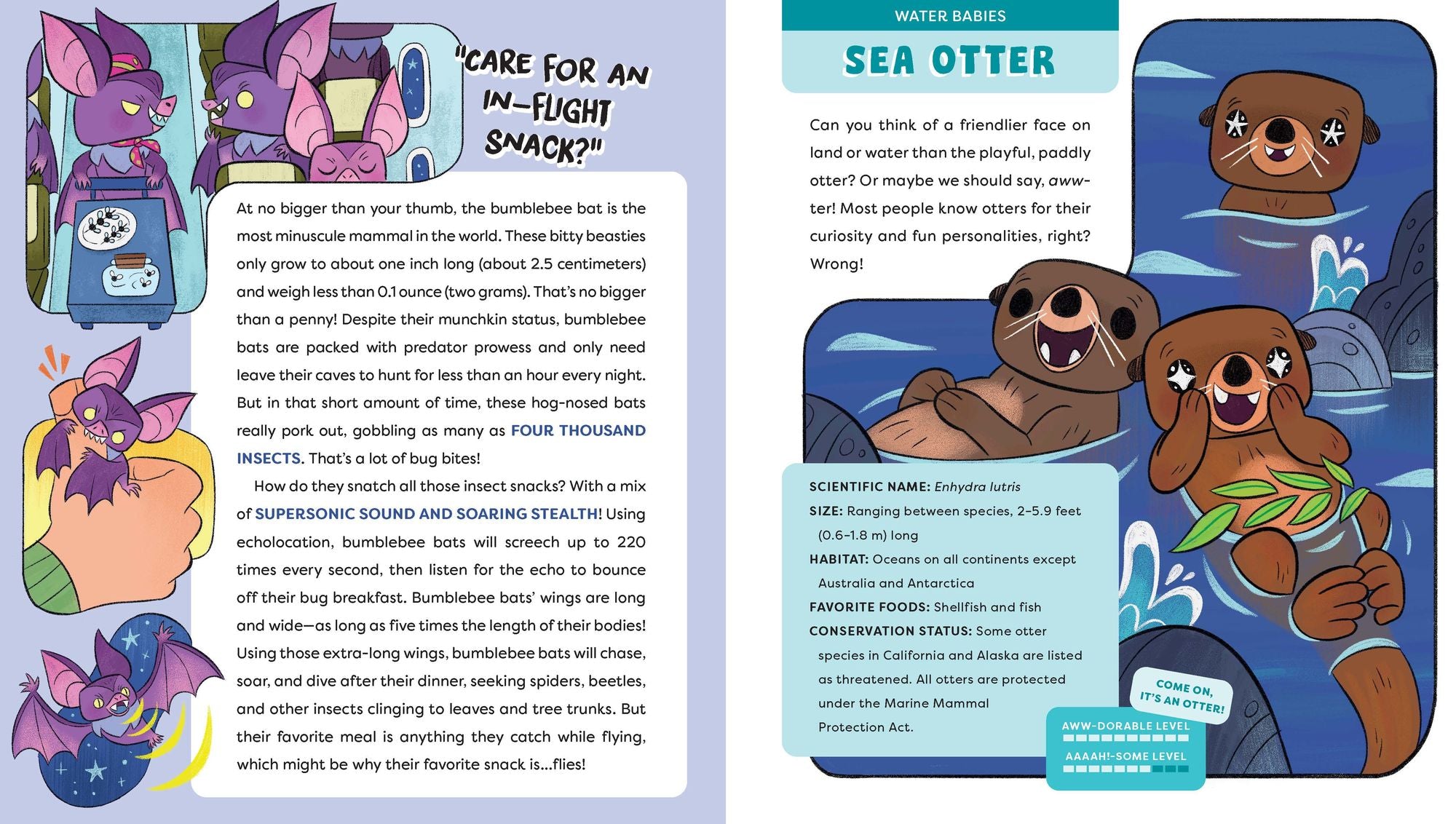 Cute Animals That Could Kill You Dead