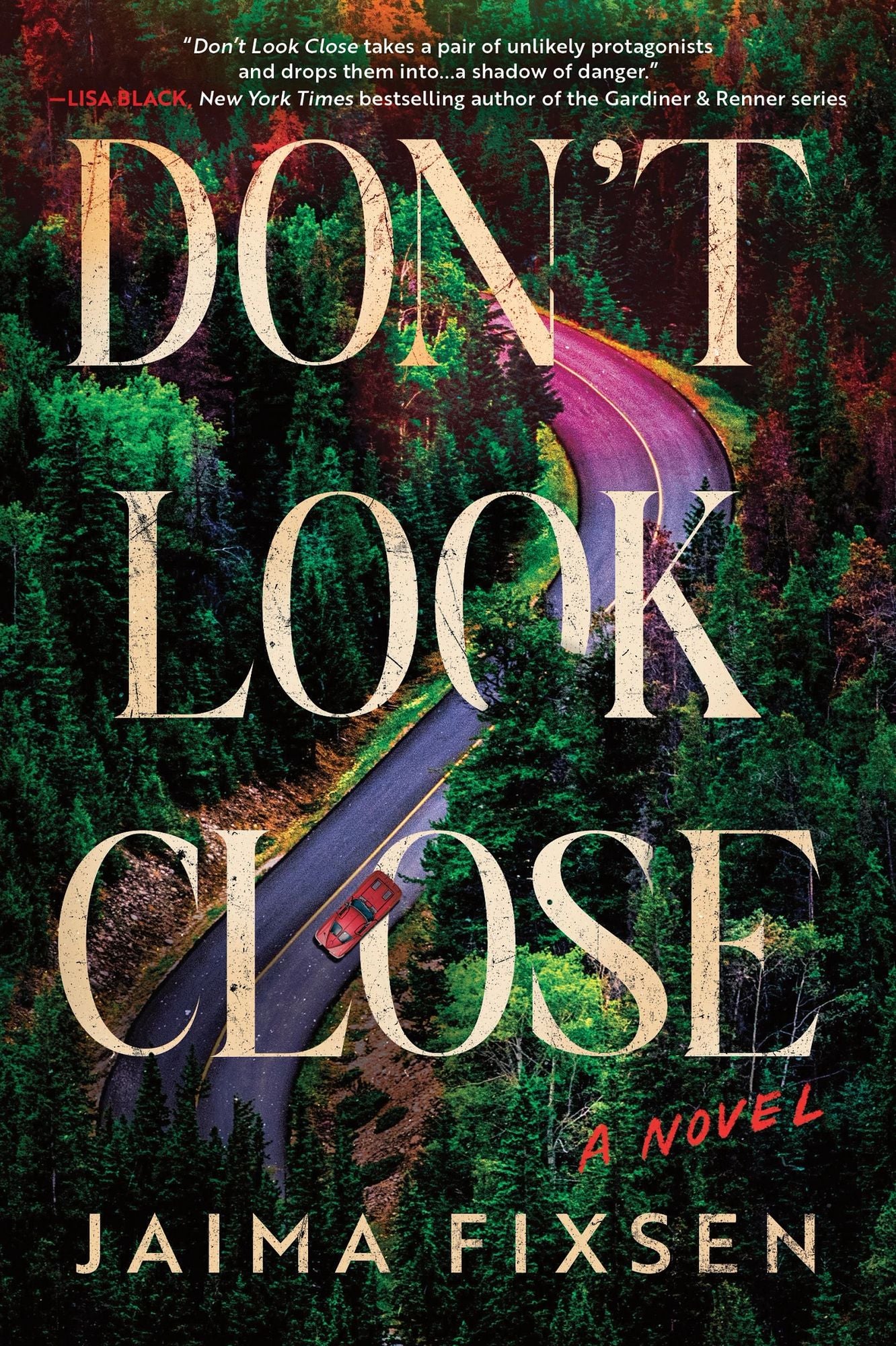 Don't Look Close: A Novel