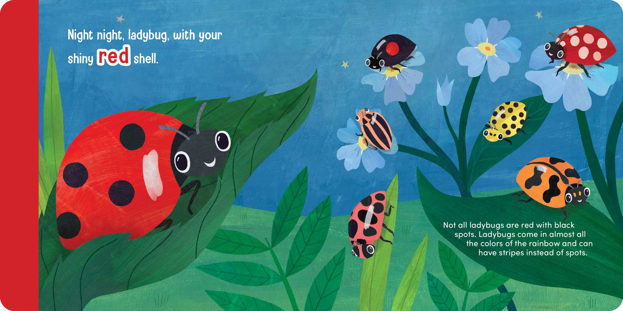 Night Night Ladybug