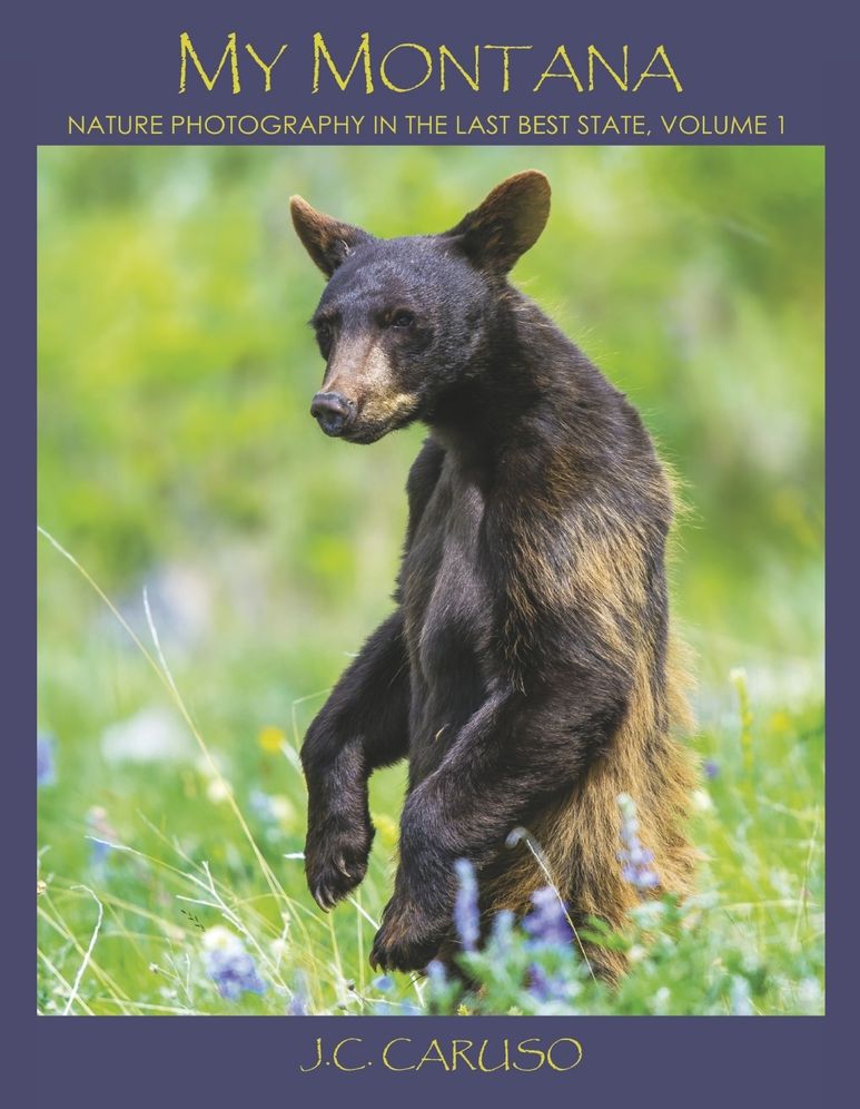 My Montana: Nature Photography in the Last Best State