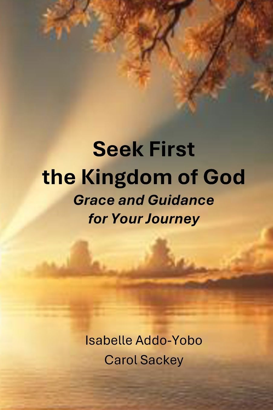 Seek First the Kingdom of God: Grace and Guidance for the Journey
