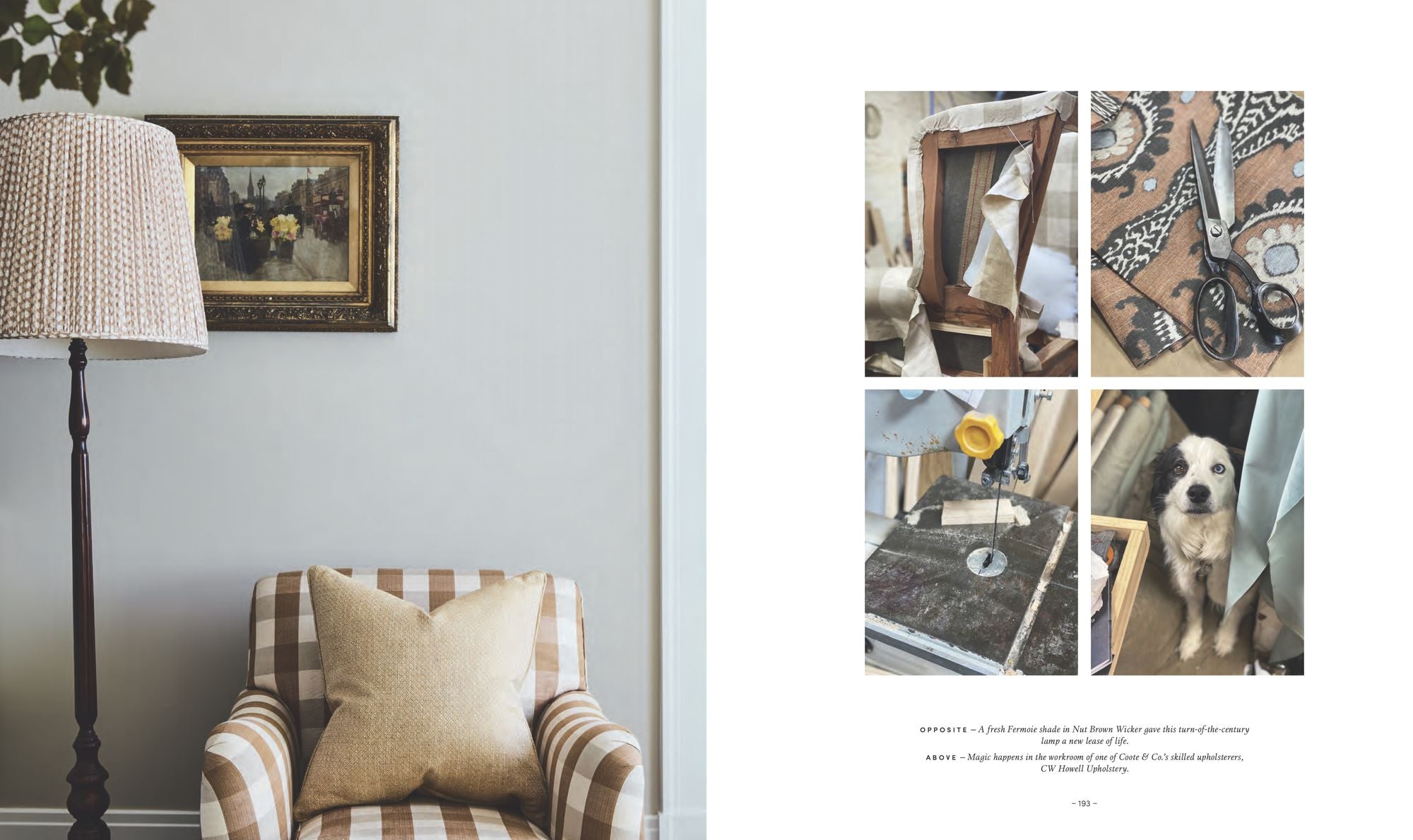Color Is Home: A Brave Guide to Designing Classic Interiors