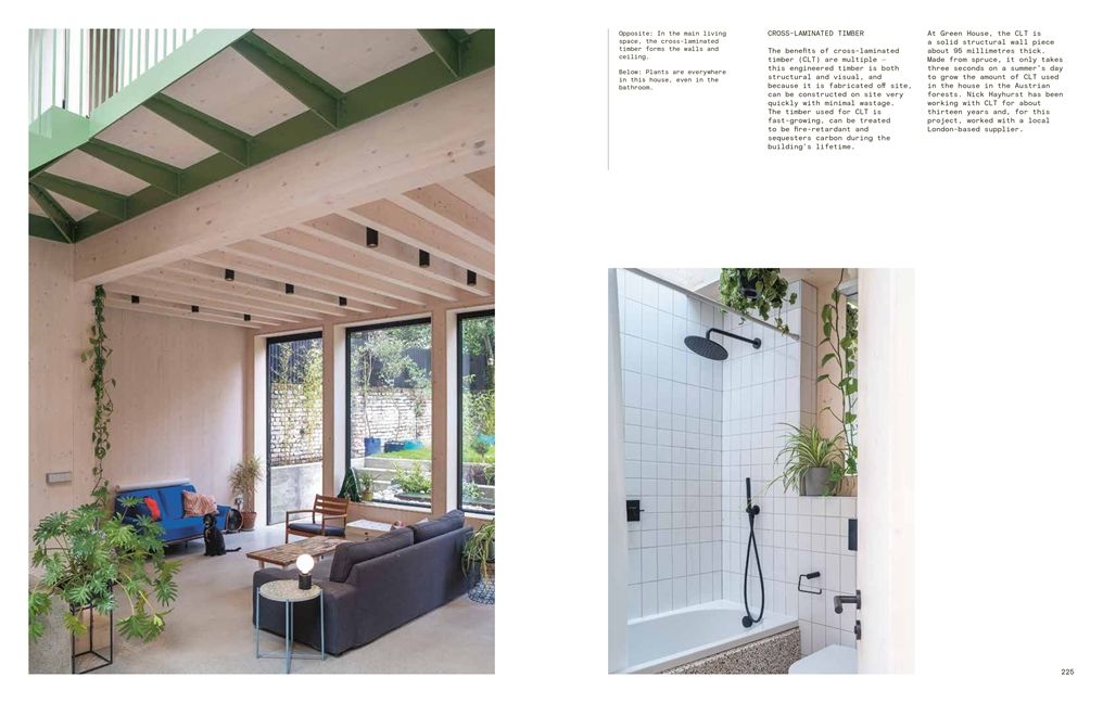 The New Sustainable House: Planet-Friendly Home Design
