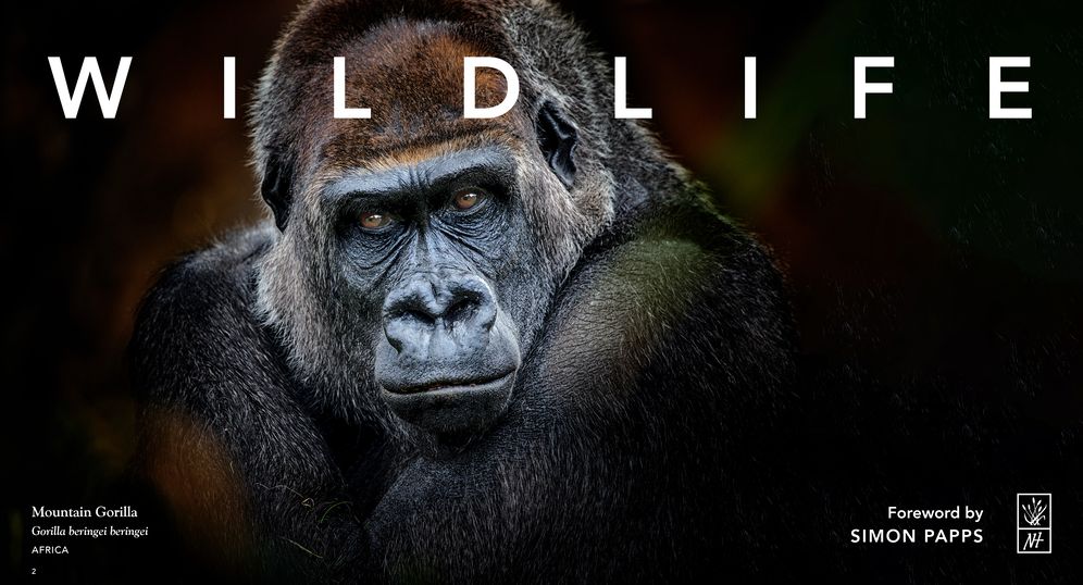 Wildlife