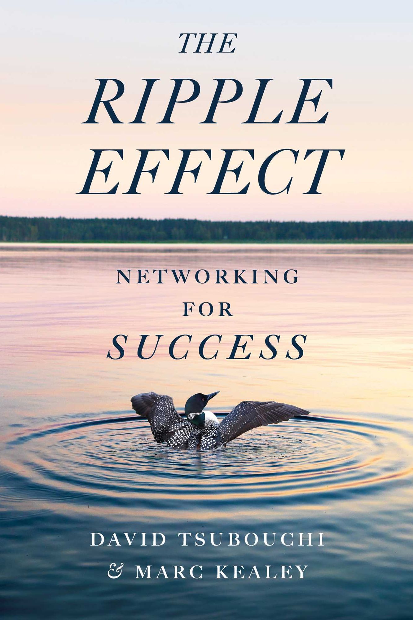 The Ripple Effect: Networking for Success