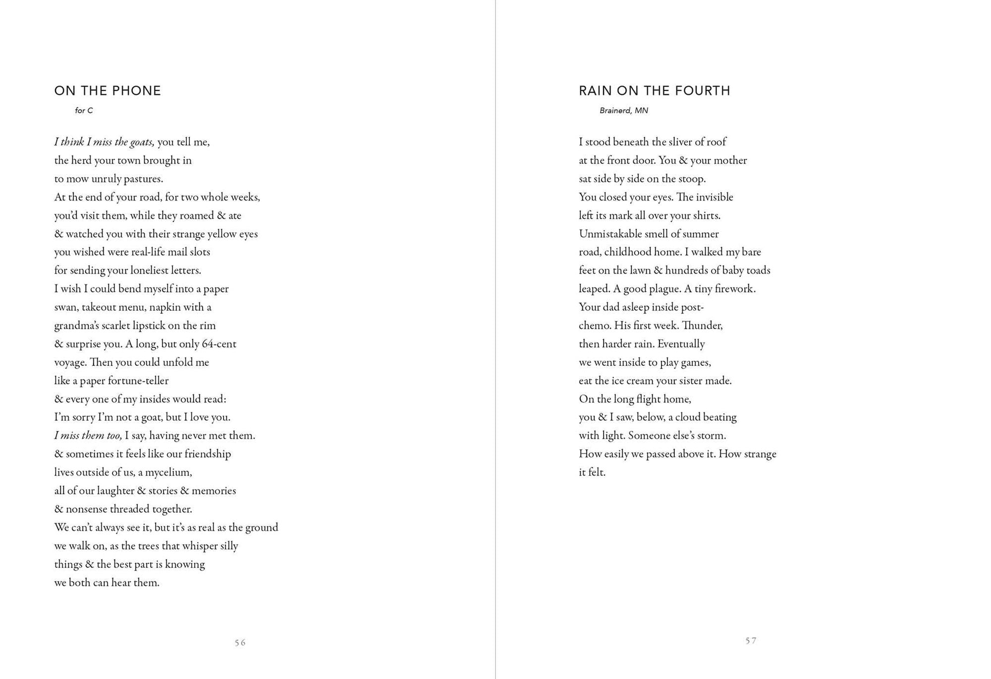 In the Middle of a Better World: Poems