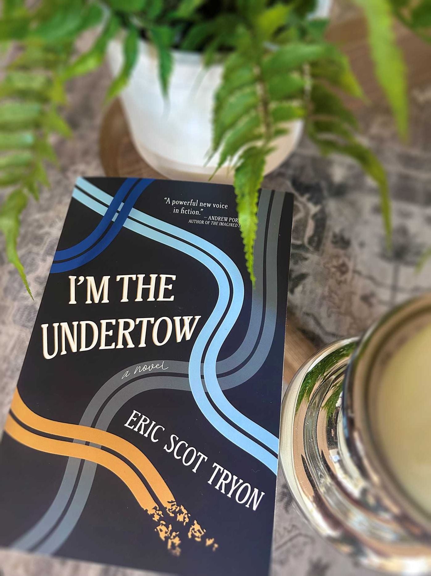 I'm the Undertow: A Novel