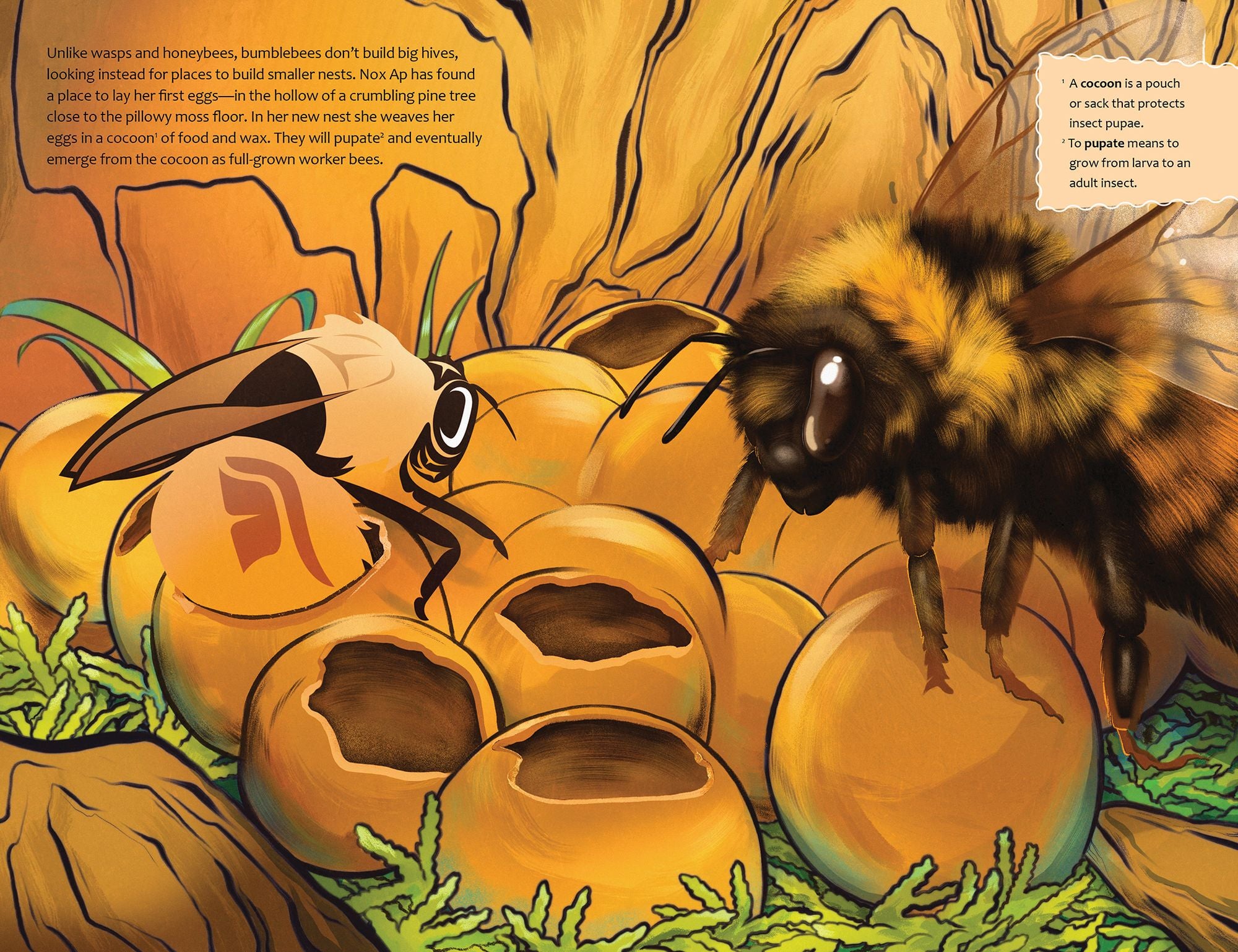 The Bee Mother