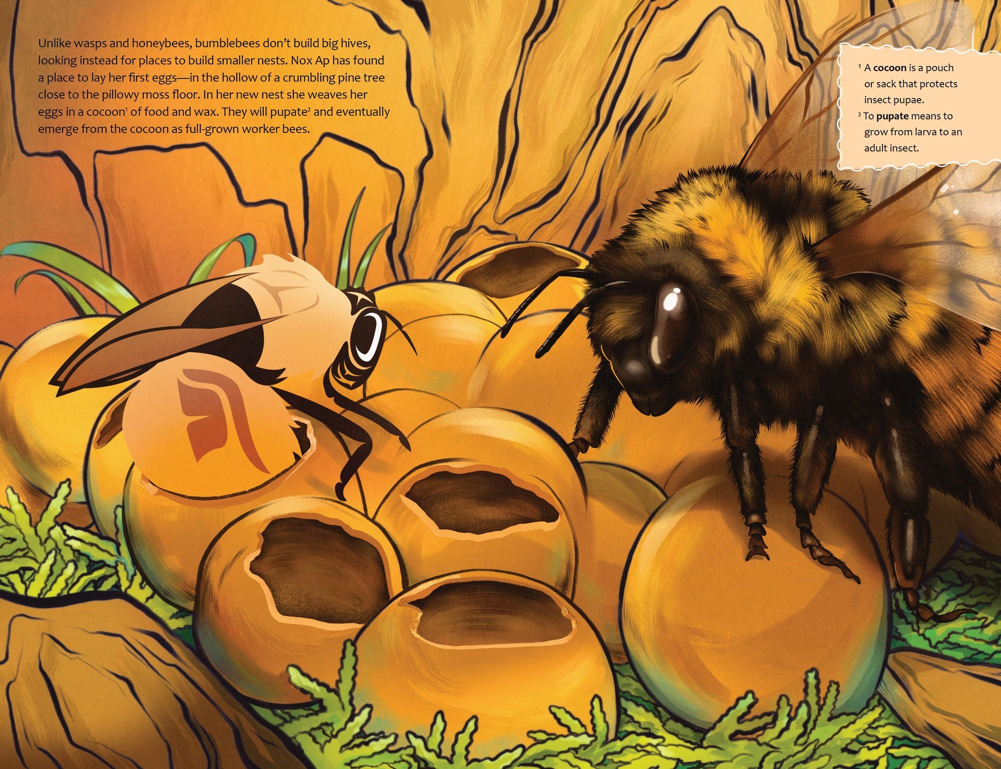 The Bee Mother