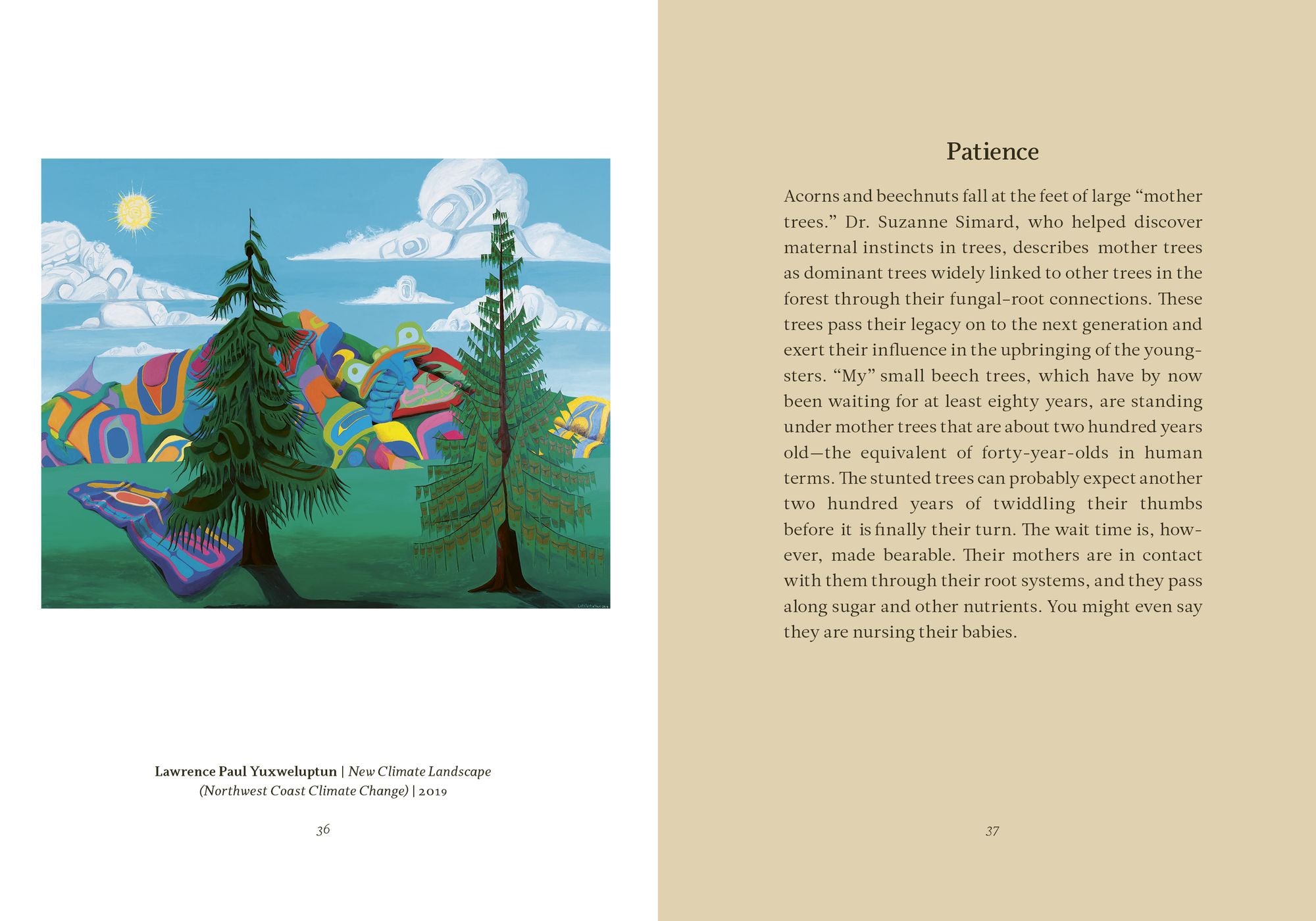 Wisdom From The Hidden Life of Trees