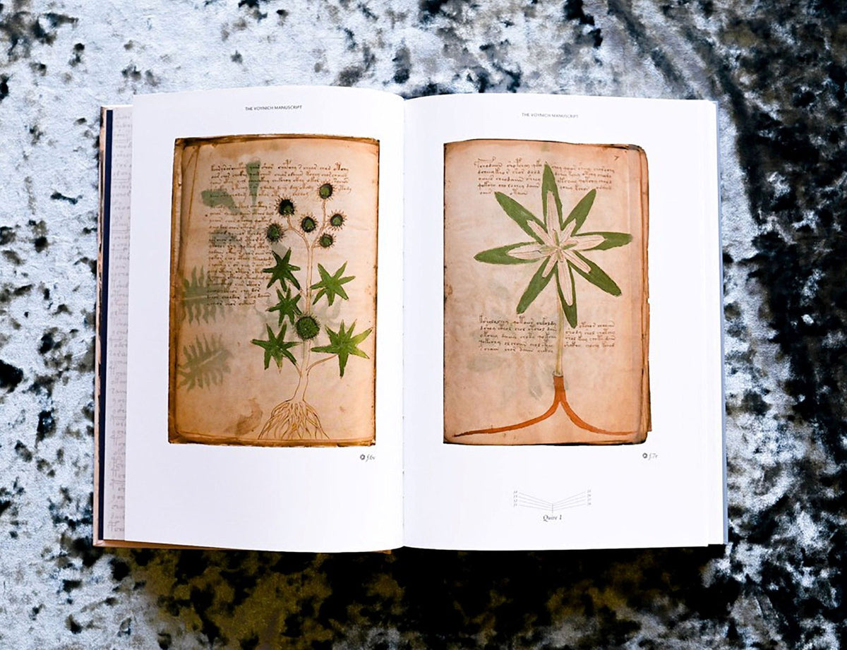 The Voynich Manuscript: The Complete Edition of the World' Most Mysterious and Esoteric Codex