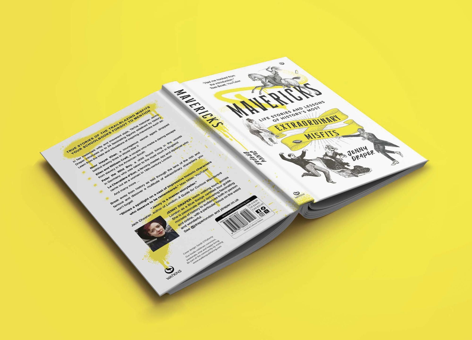 Mavericks: Life stories and lessons of history's most extraordinary misfits