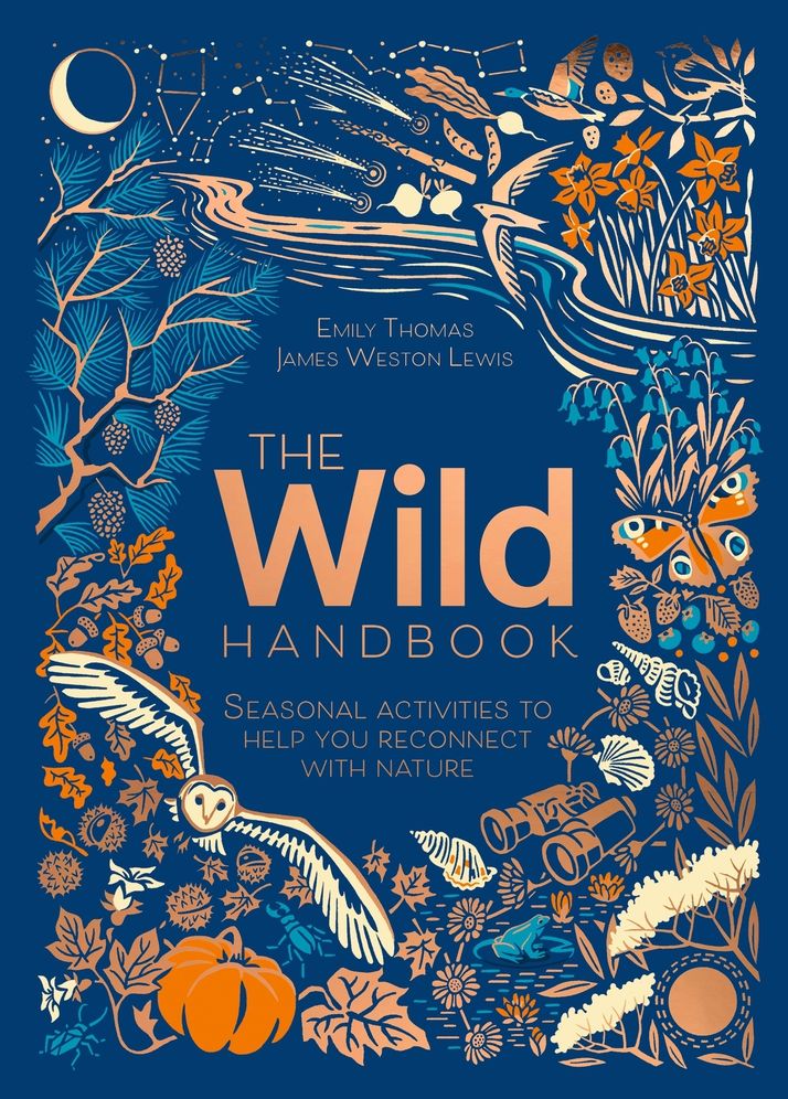 The Wild Handbook: Seasonal Activities to Help You Reconnect with Nature