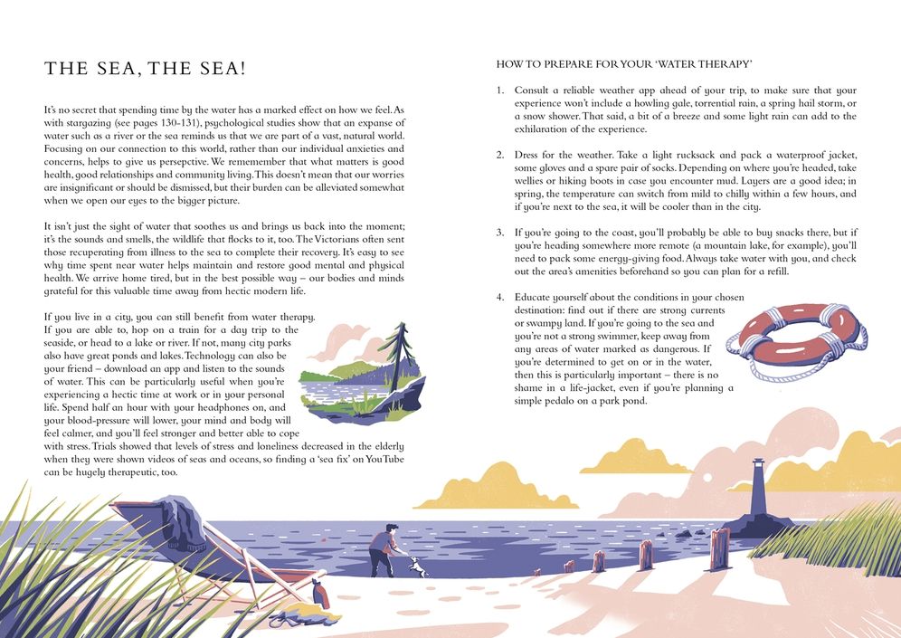 The Wild Handbook: Seasonal Activities to Help You Reconnect with Nature