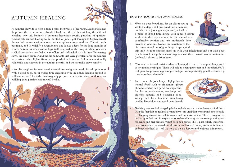 The Wild Handbook: Seasonal Activities to Help You Reconnect with Nature