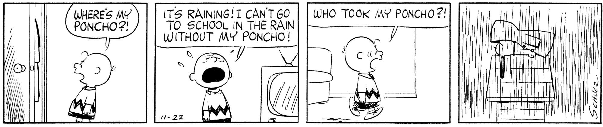 Peanuts: Charlie Brown and Snoopy