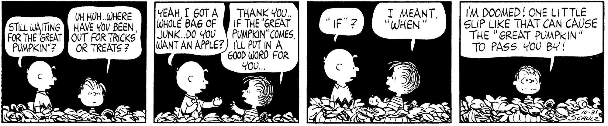 Peanuts: Charlie Brown and Snoopy