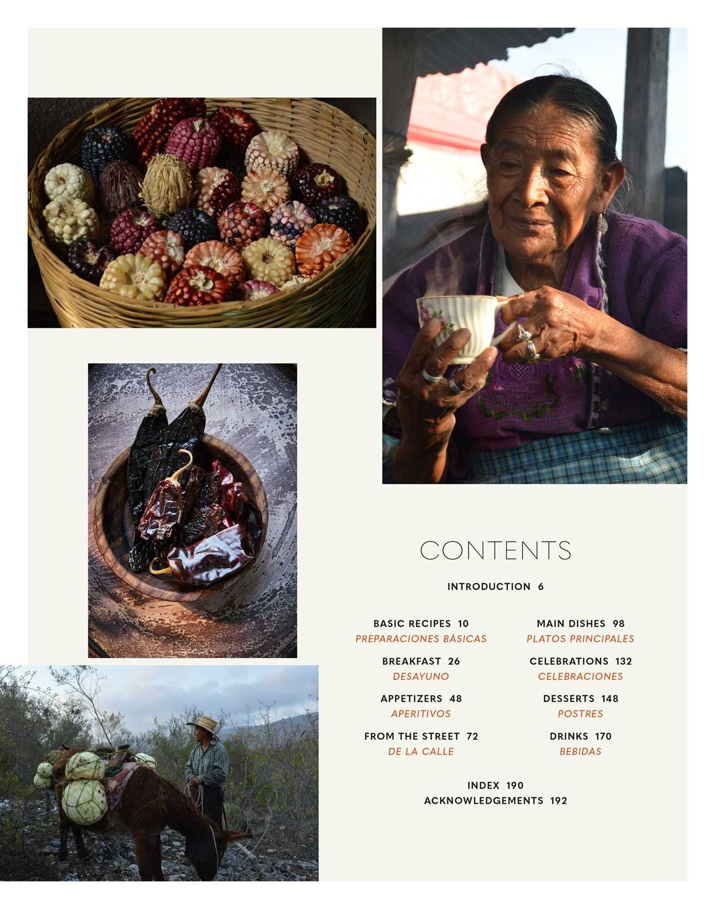 Cocina Mexicana: Fresh, vibrant recipes for authentic Mexican food
