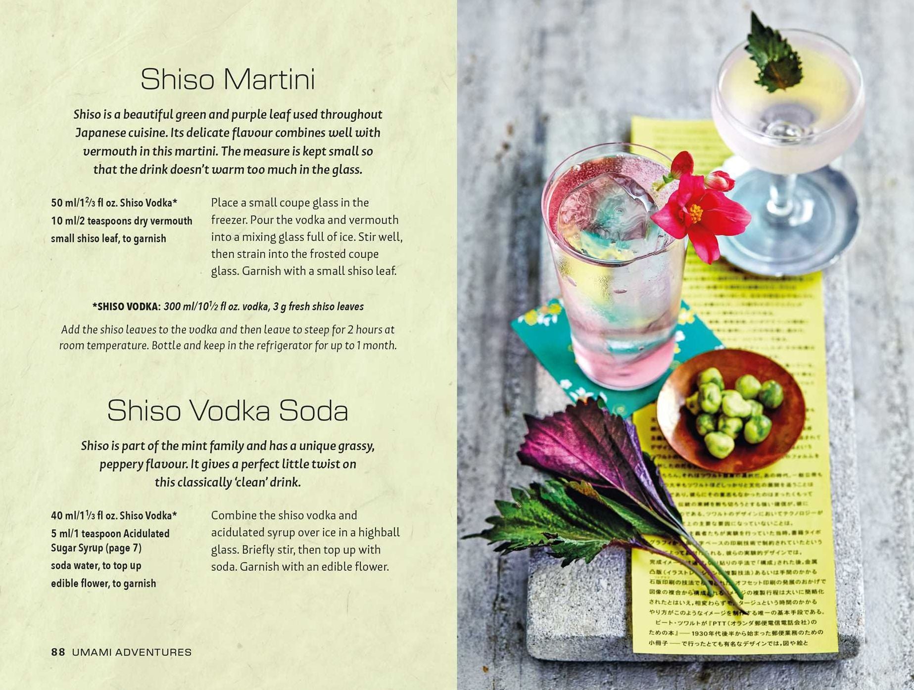 Tokyo Bar: 65 recipes for Japanese-style cocktails and izakaya snacks