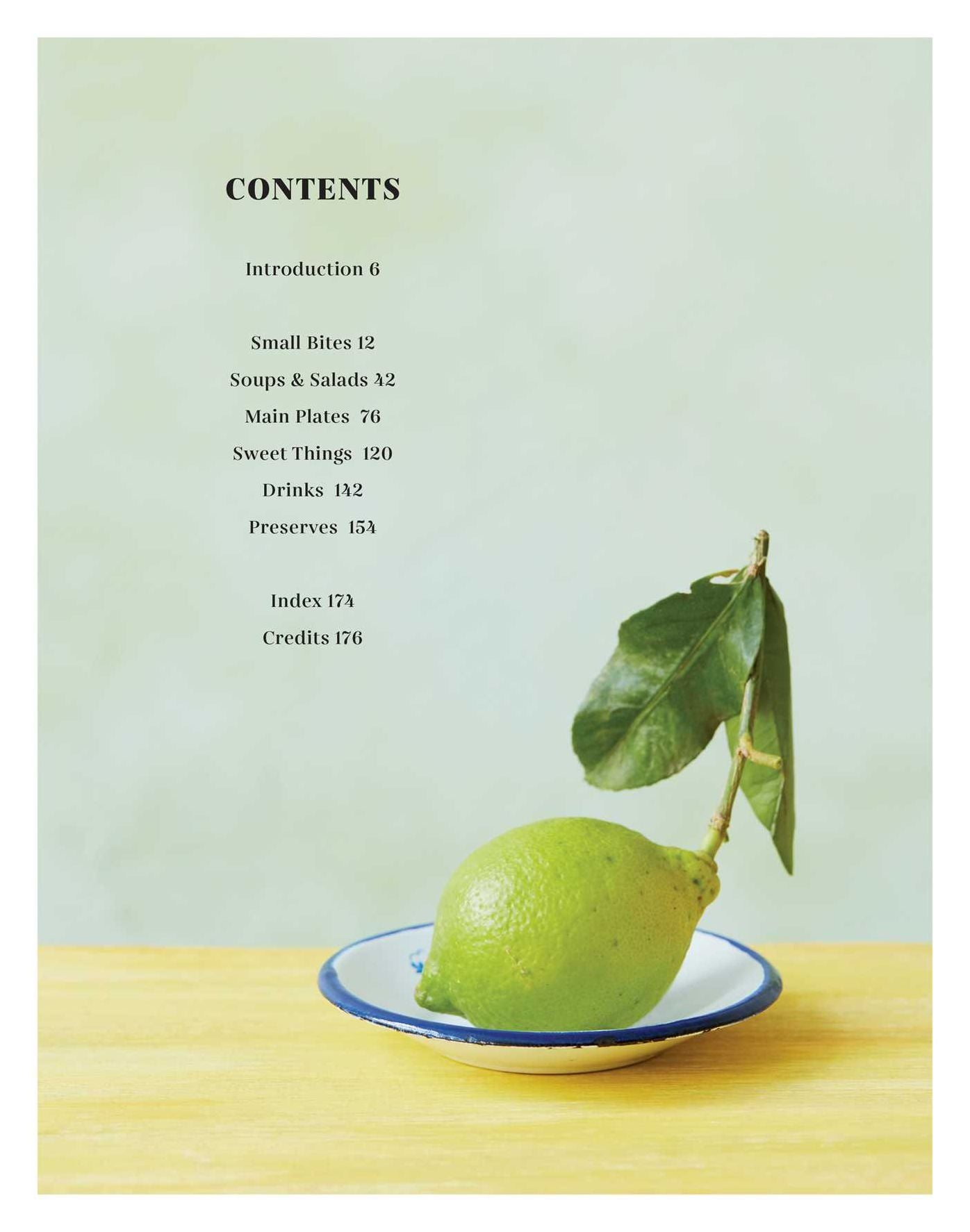 Zest: Fresh & vibrant recipes for citrus fruit